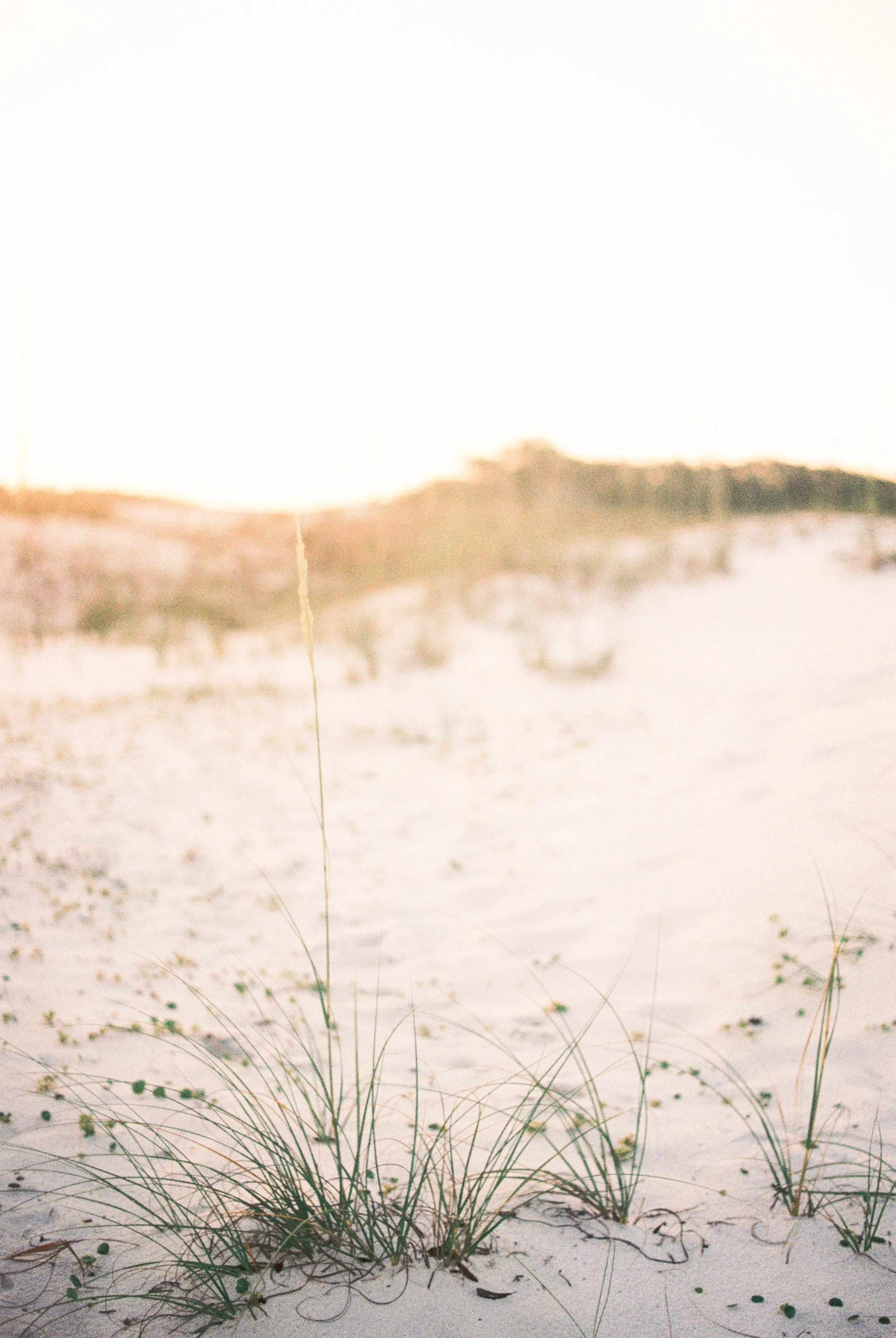 Destin Family Photography R4-3.jpg