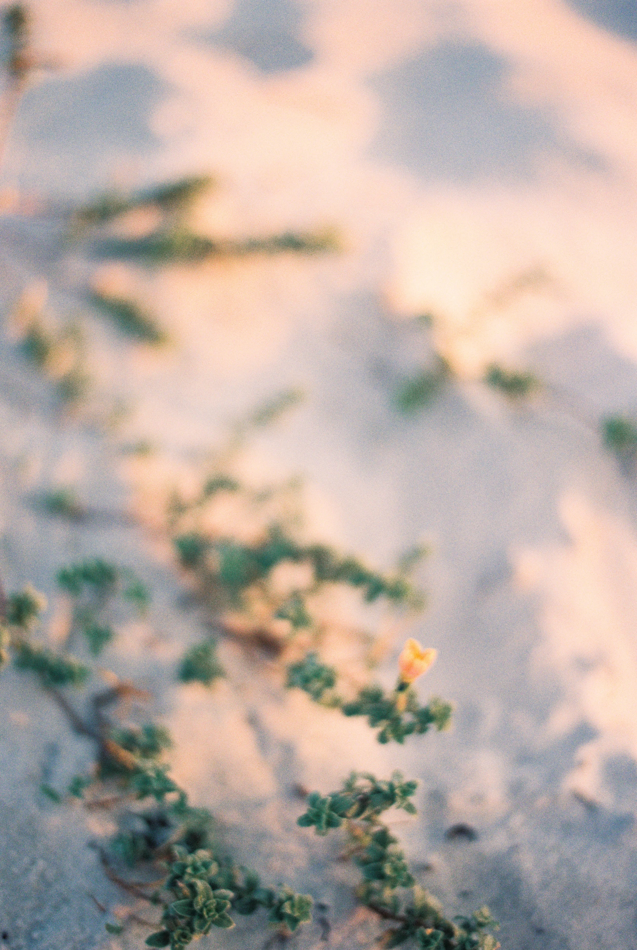 Destin Family Photography R4-13.jpg