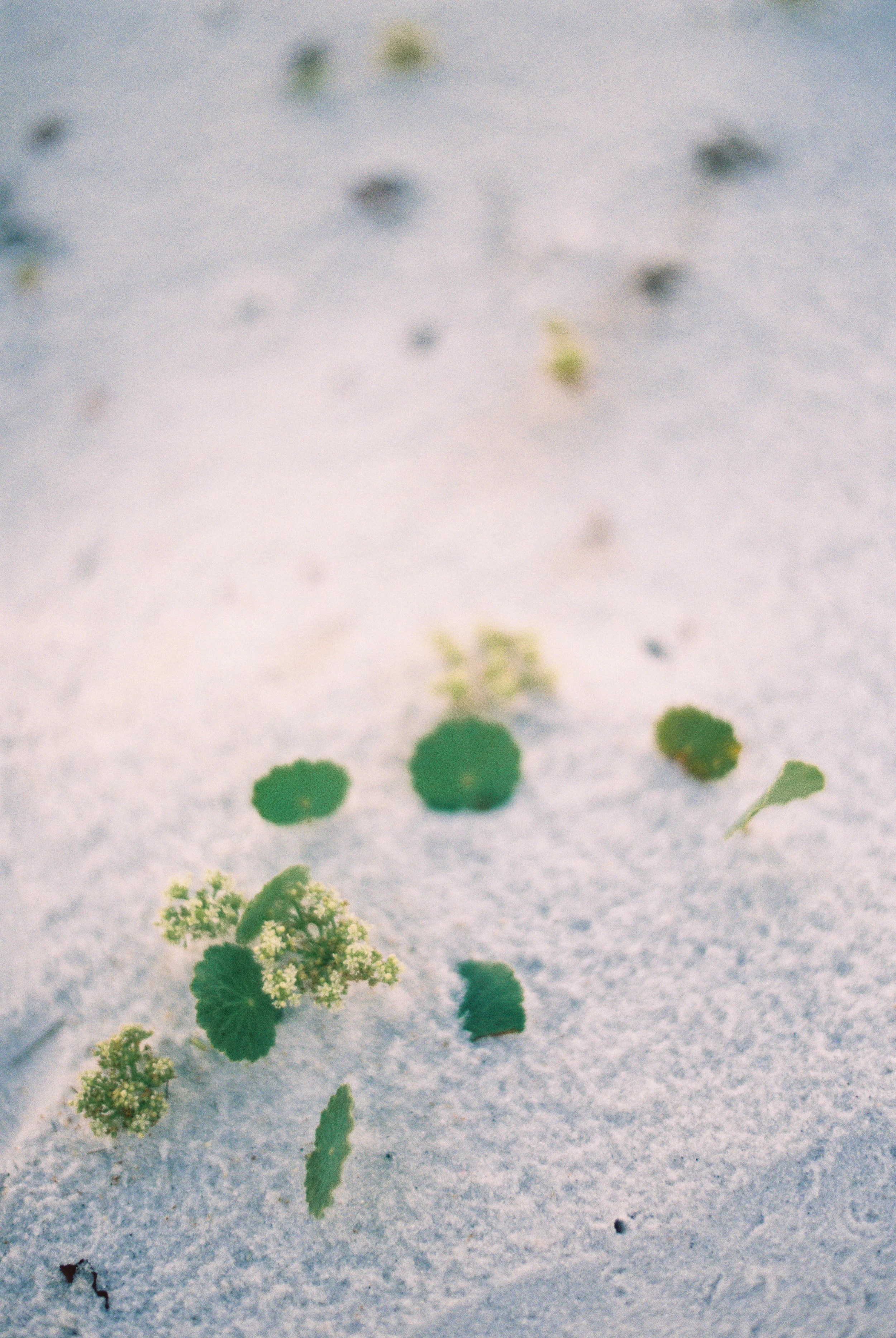 Destin Family Photography R4-14.jpg