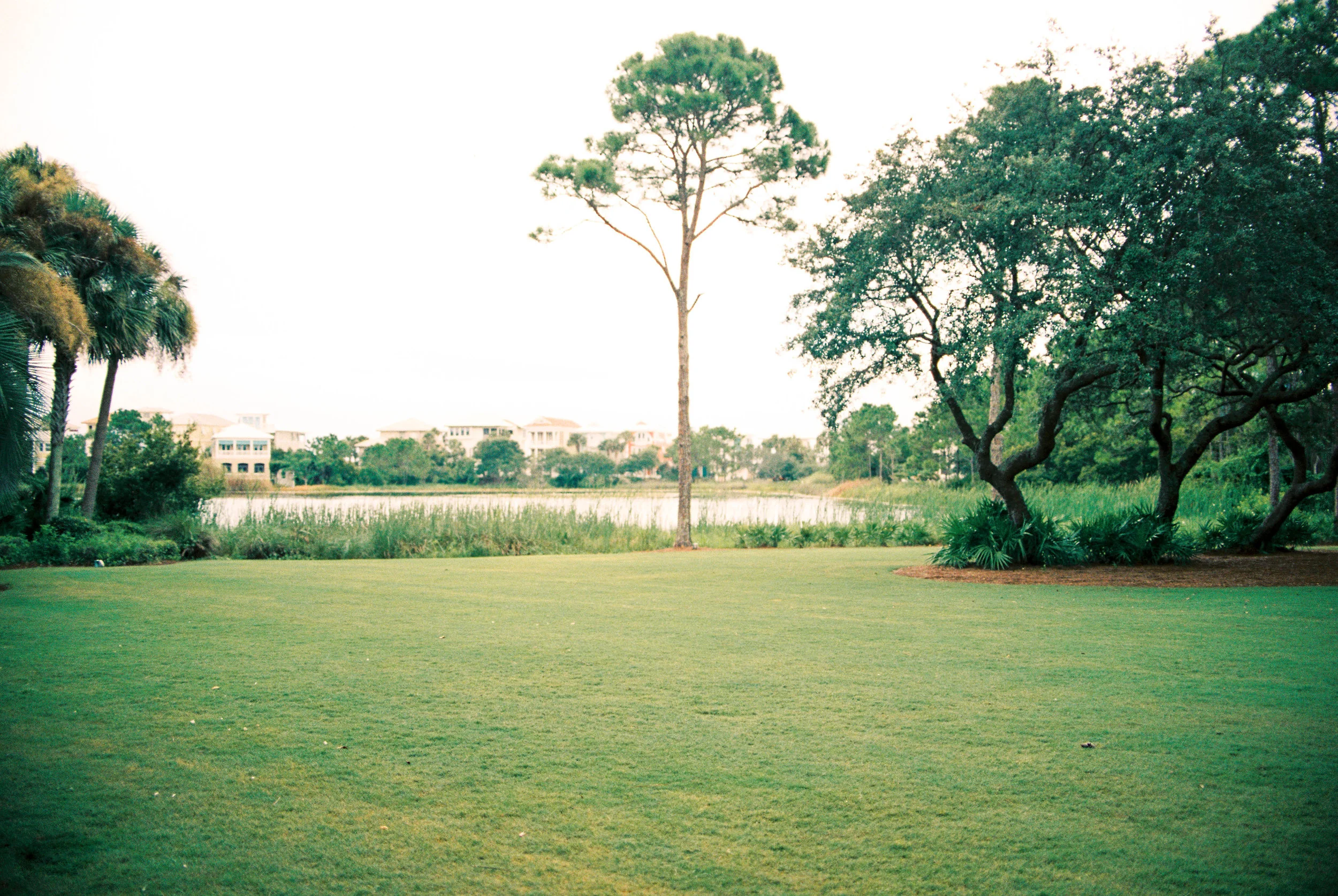 Carillon Weddings R2-34.jpg