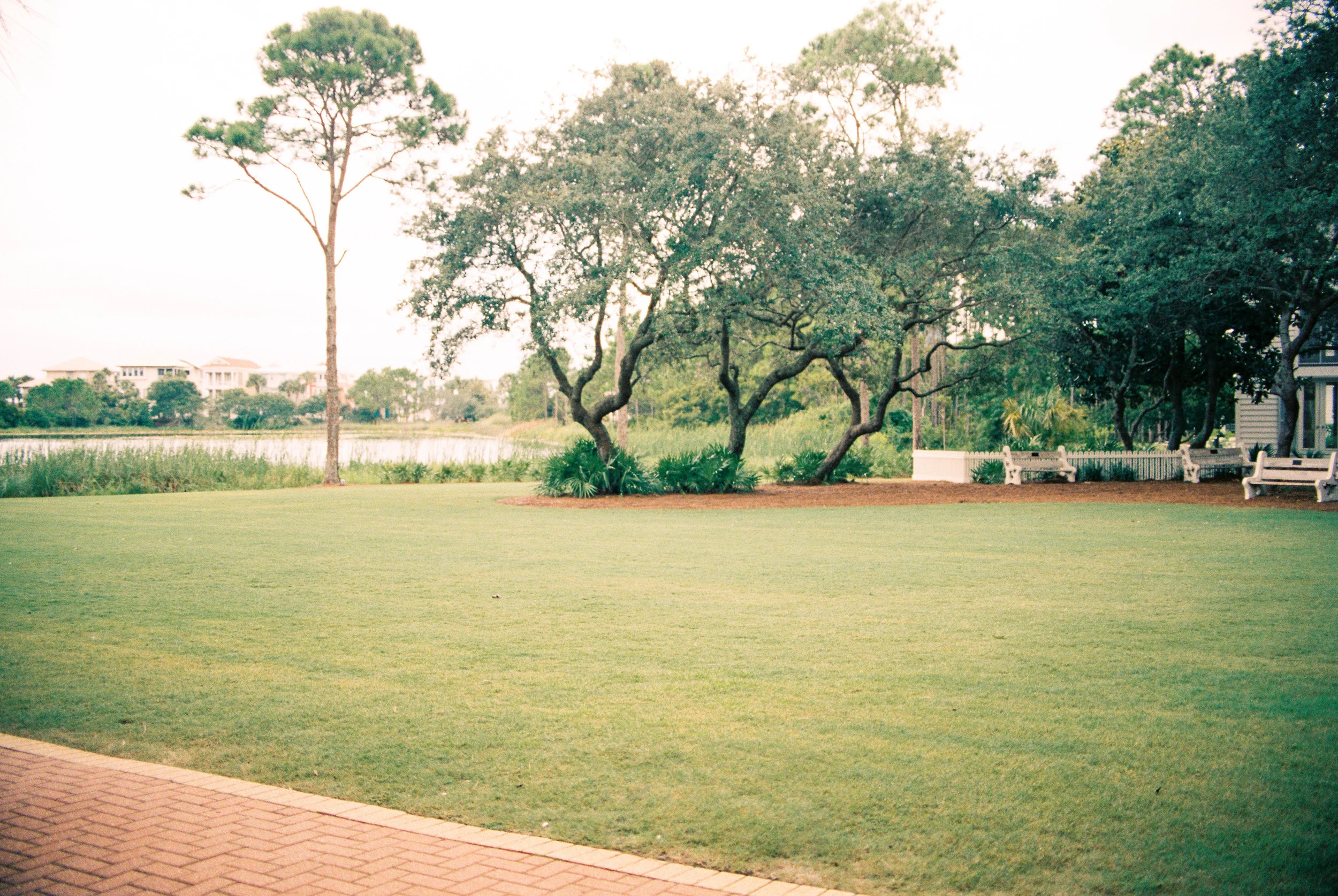 Carillon Weddings R2-36.jpg