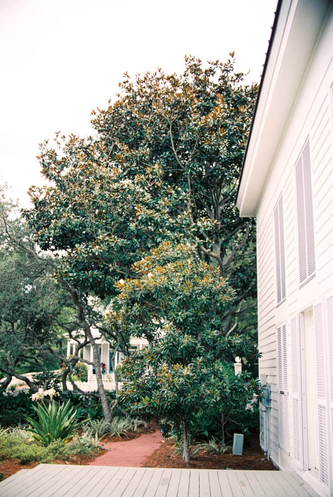 Carillon Weddings R3-29.jpg