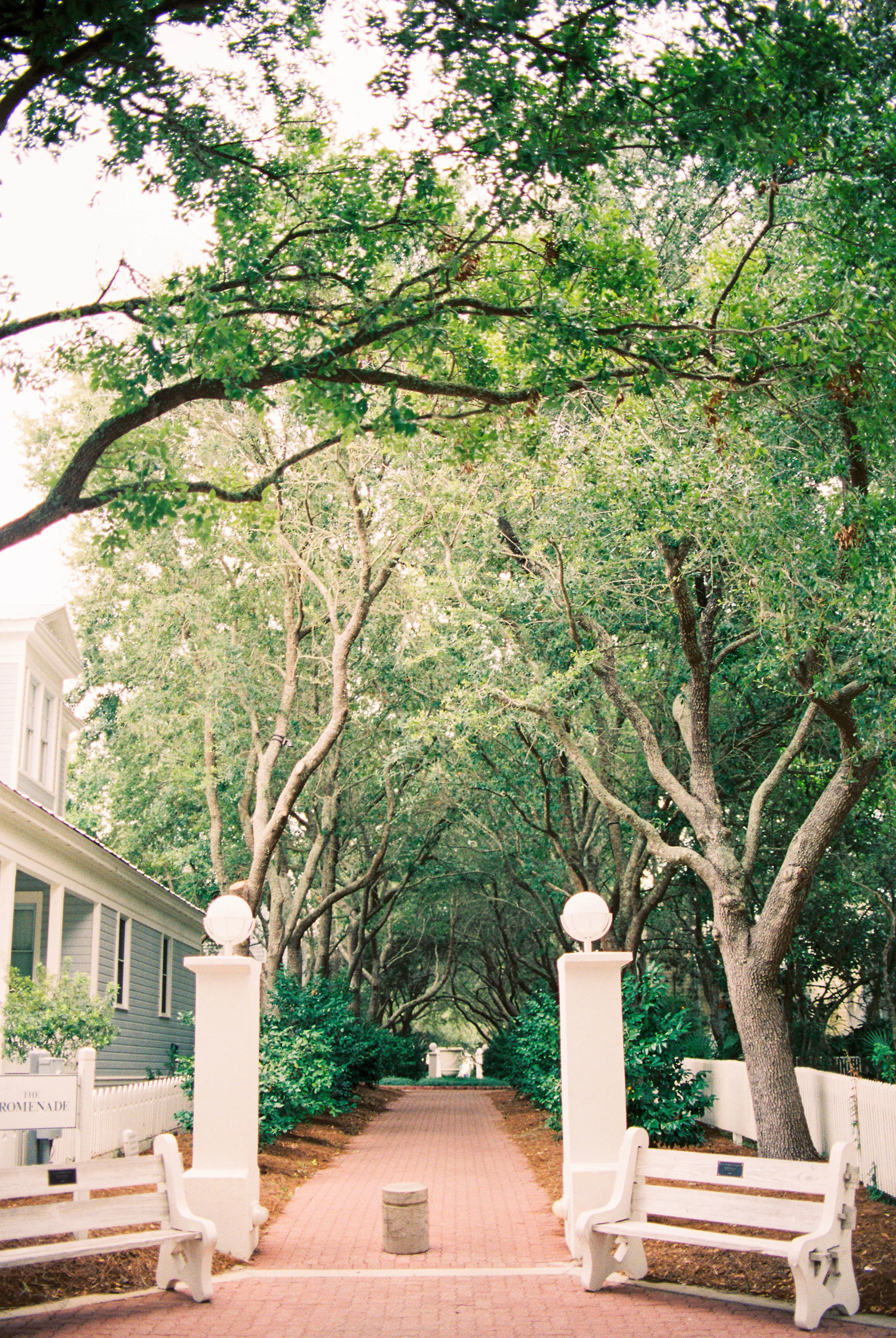 Carillon Weddings R3-8.jpg