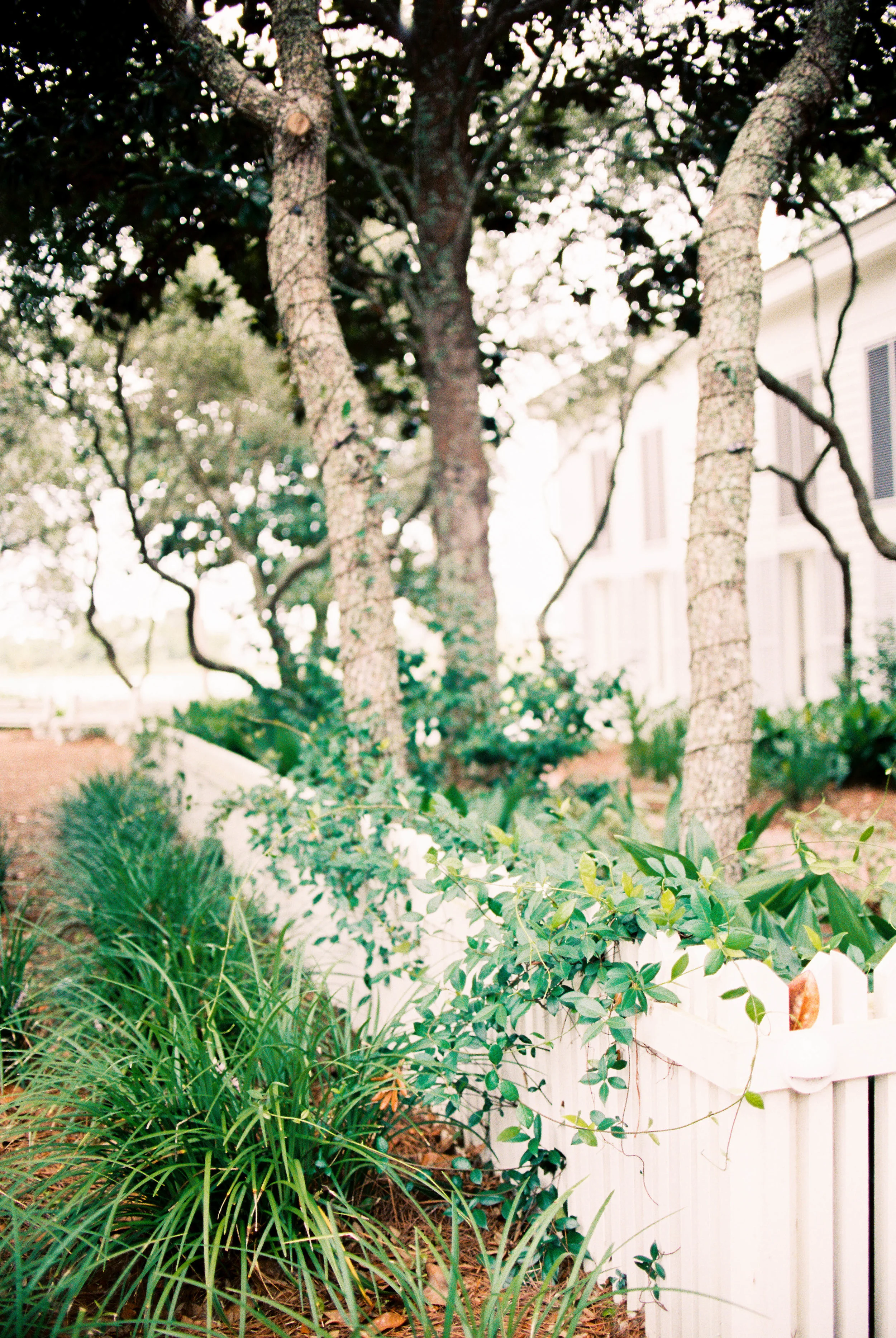 Carillon Weddings R3-4.jpg