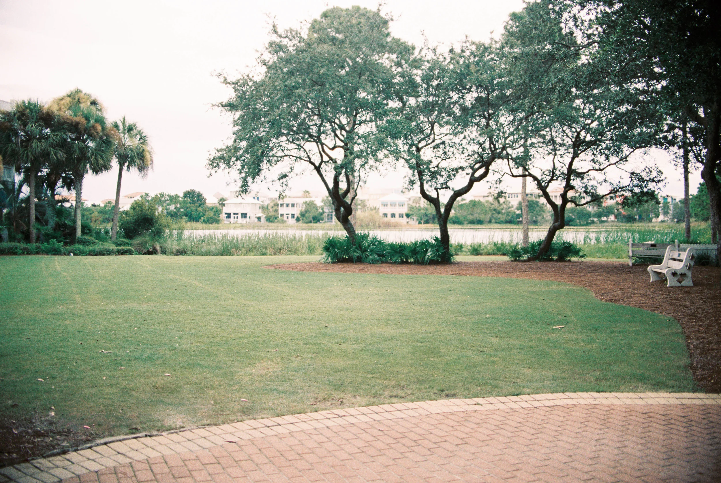 Carillon Weddings R3-1.jpg