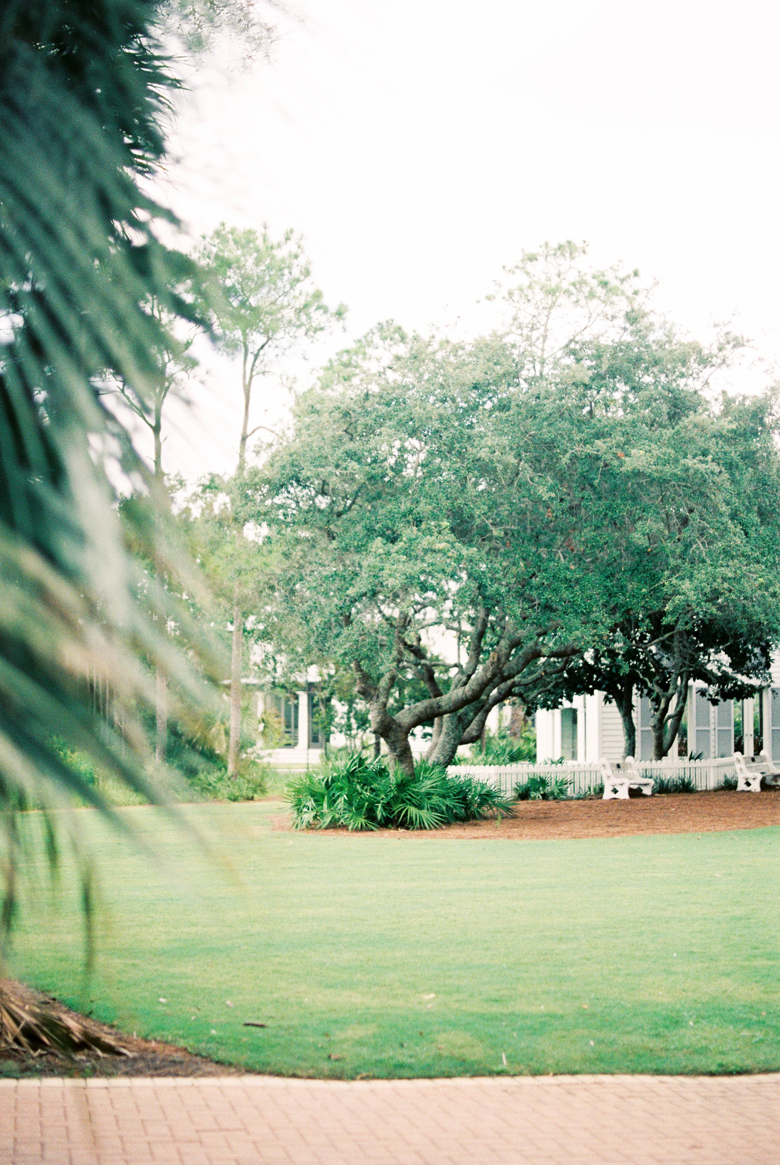 Carillon Weddings R2-5.jpg