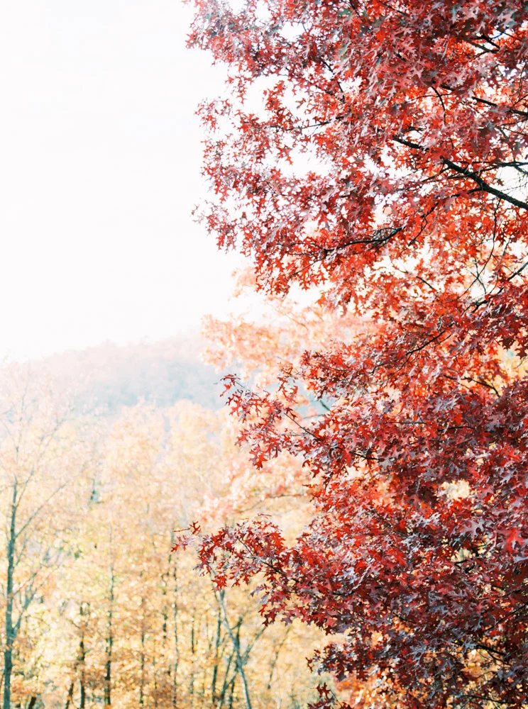 untitled-174.jpg