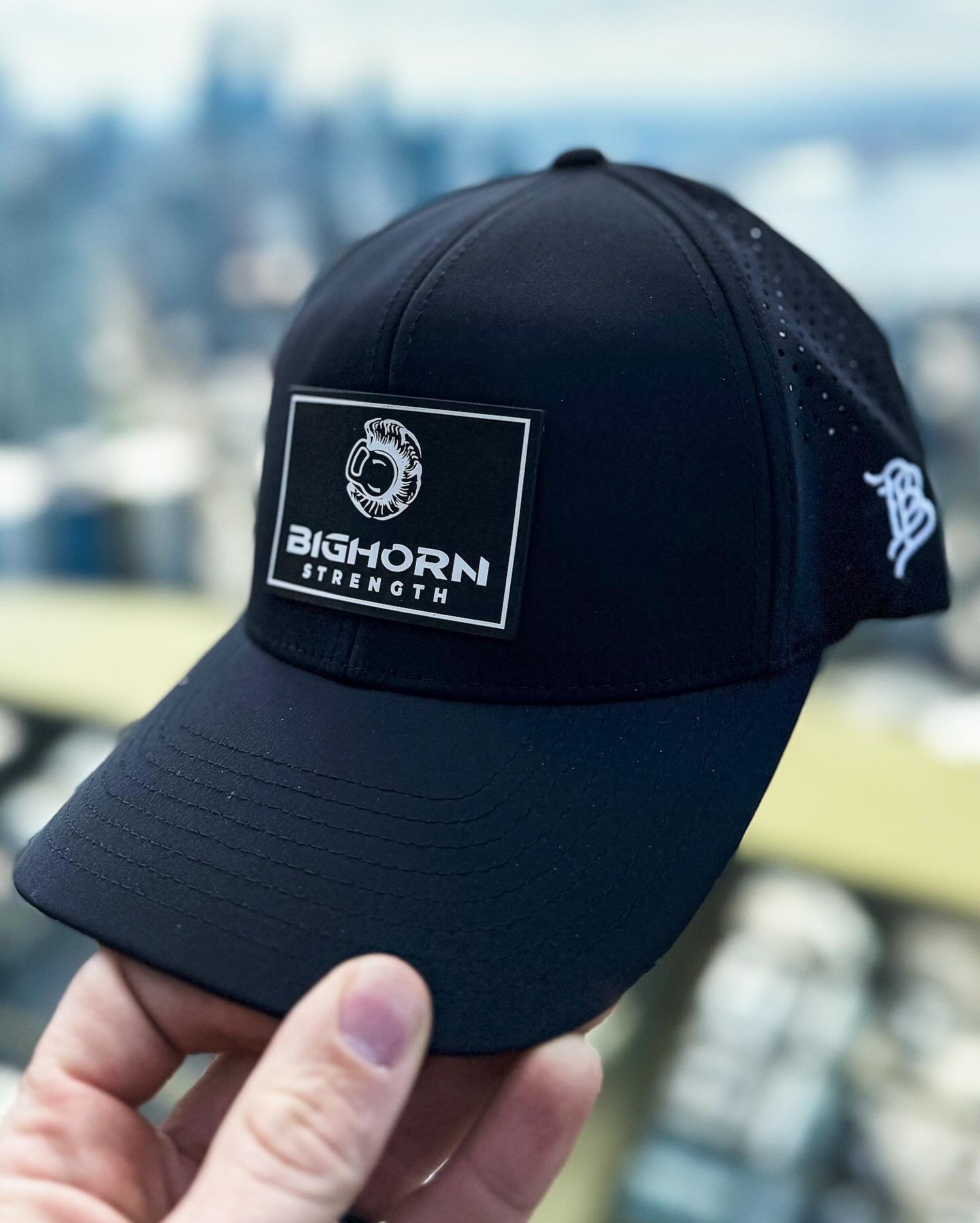 NEW Bighorn Performance Hats by @brandedbills are now available at &hellip; www.bighornstrength.com! 

These hats are lightweight, waterproof and have a flex fit capability for a comfortable fit at the gym or outdoors. 

#bighorn #strength #training 
