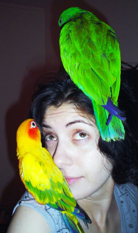 i like birds