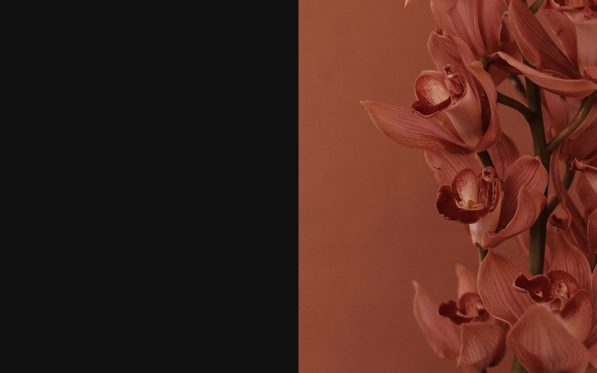 KG_Book-Karrie-Banner.jpg