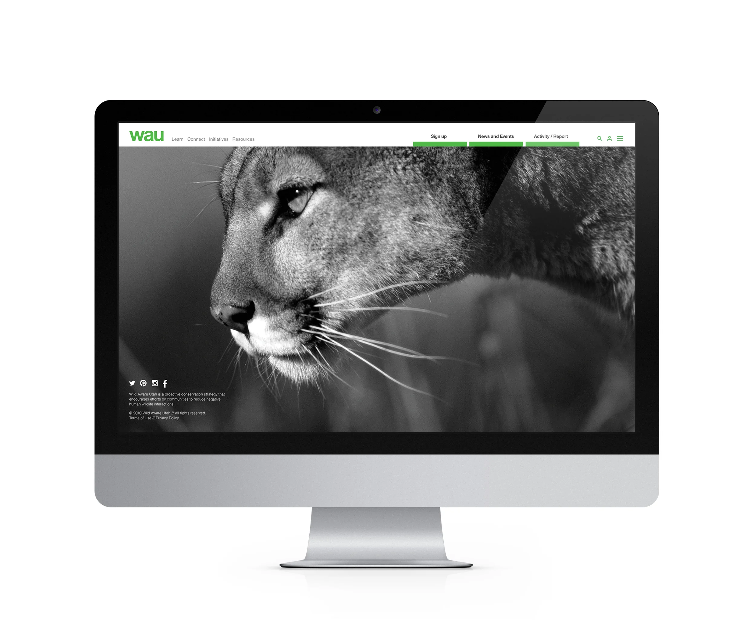 wau site-mock-up.jpg