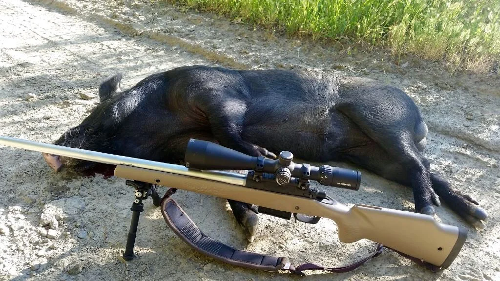A customers 6.5 Creedmoor getting the job done.