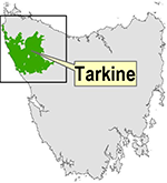 map-tarkine.png