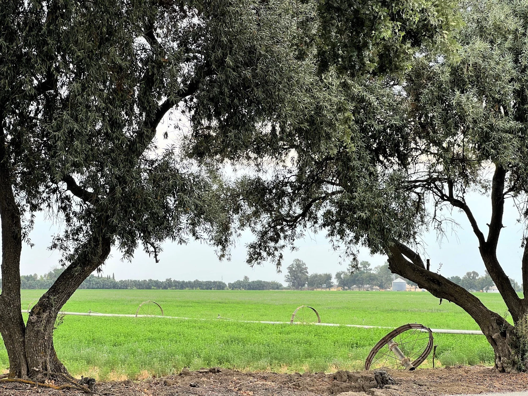 Microfiction, micro-fiction, microfiction, travel, traveling, flashfiction, short story, holiday, vacation, trip, journey, sightseeing, story, storytelling, travelblog, travel blog, slow travel, tourism, tourist, food, foodie, art, assemblage art.