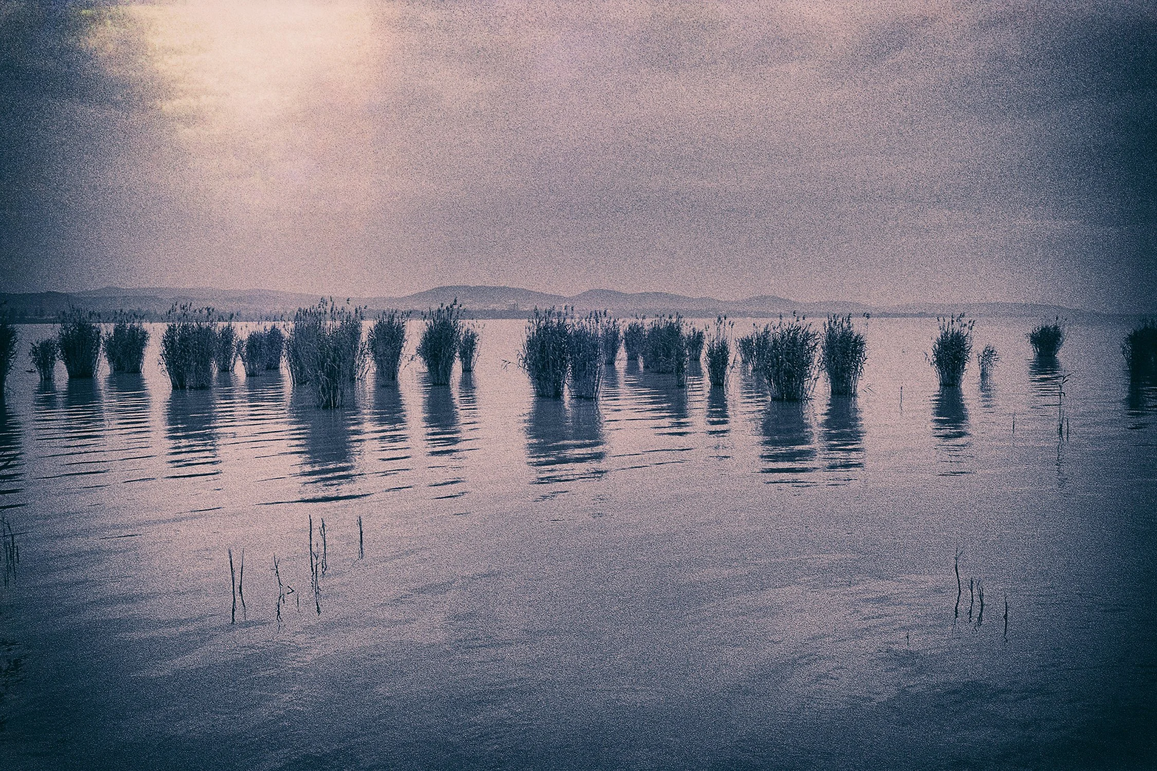 185_Roll47_Hungary_Lake-Balaton_neg22_vc3_CAndySotiriou2024.jpg