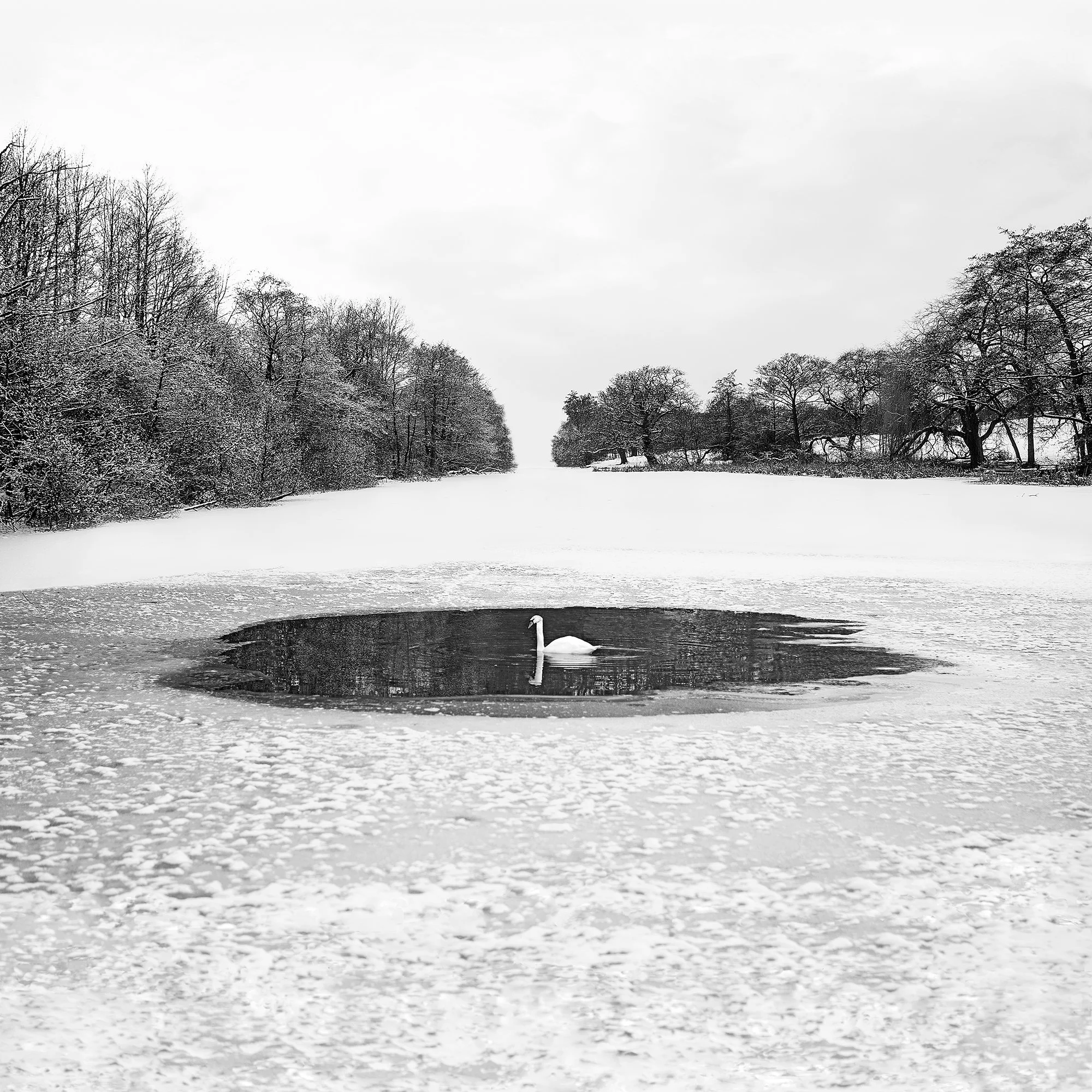 050_Snowscape_#02_Frozen-Lake_©AndySotiriou2016.jpg