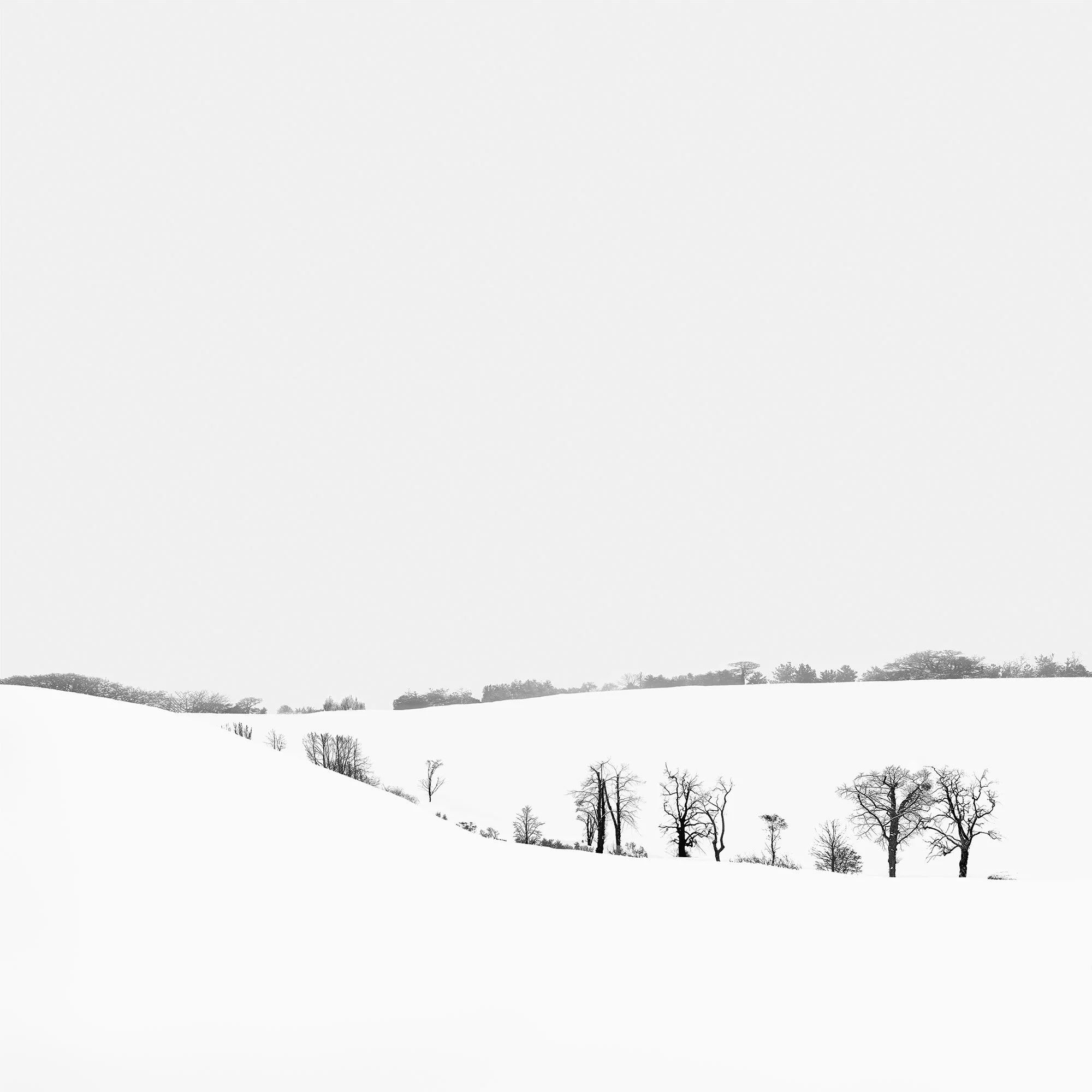 060_Snowscape_#10_©AndySotiriou2016.jpg