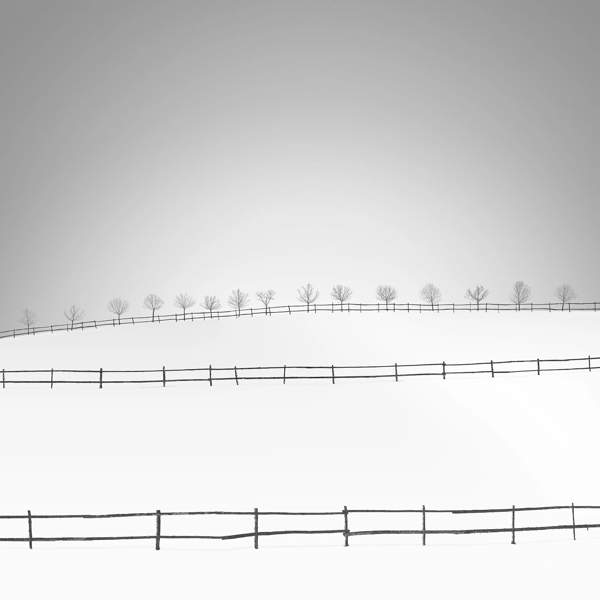 150_Snowscape_#18_©AndySotiriou2016.jpg