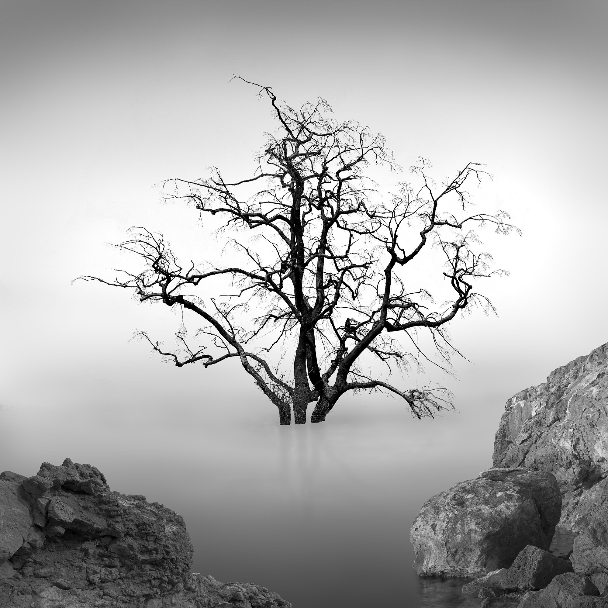 190_Sleeping_Giants_Water_Series_#01_@AndySotiriou2016.jpg