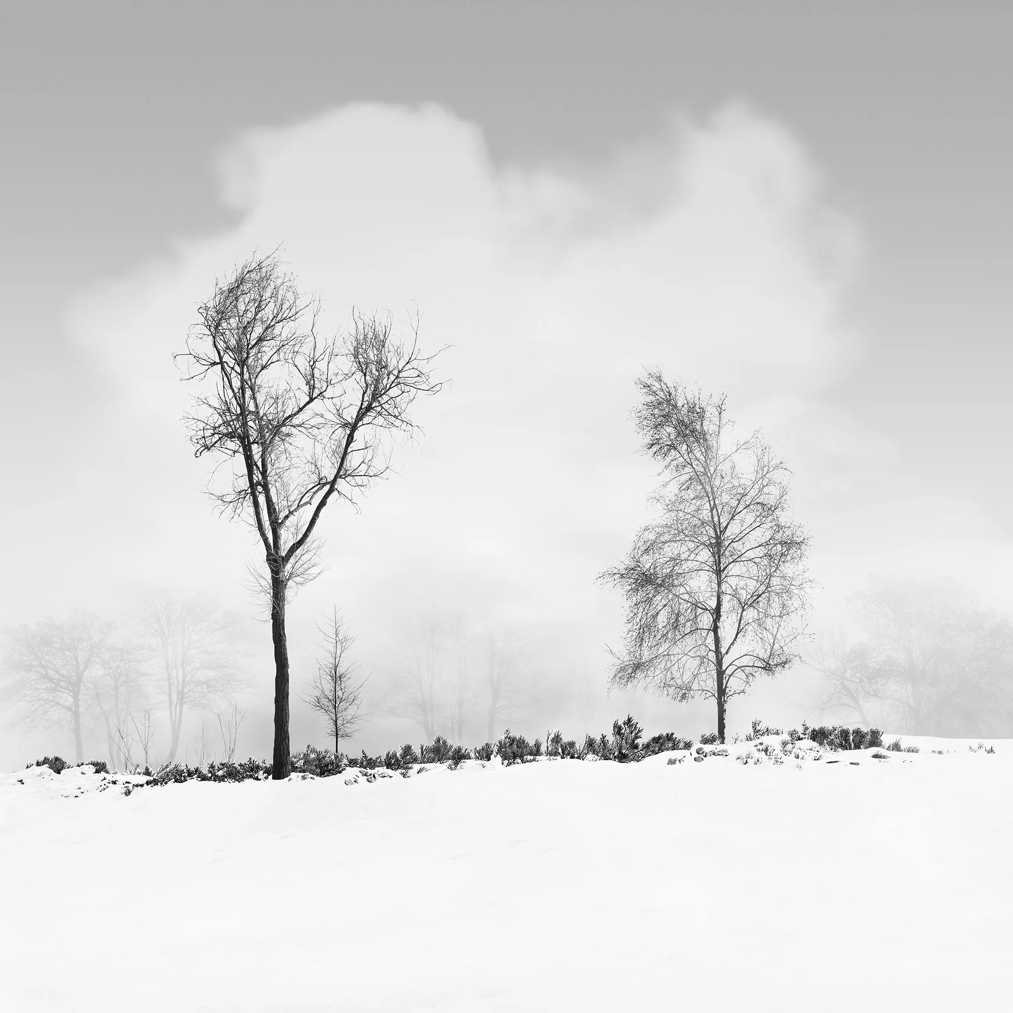 250_Snowscape_#14_©AndySotiriou2016.jpg