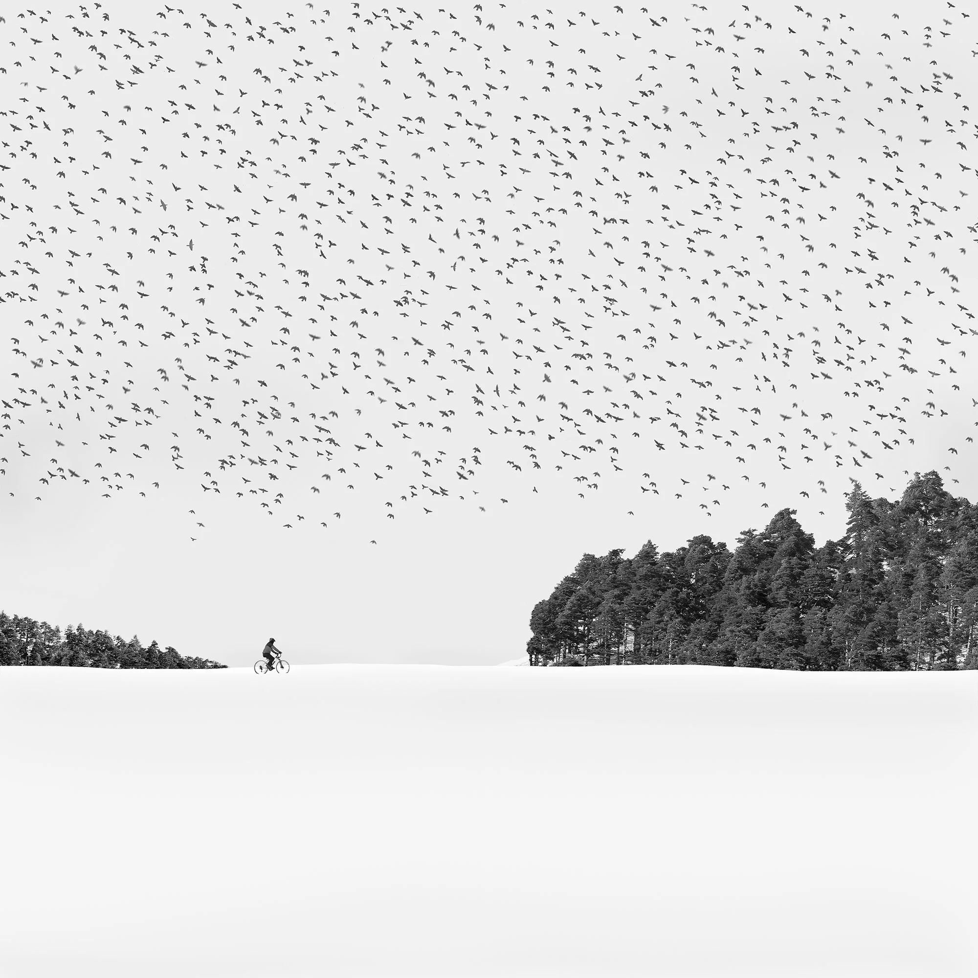 260_Snowscape_#27_©AndySotiriou2016.jpg