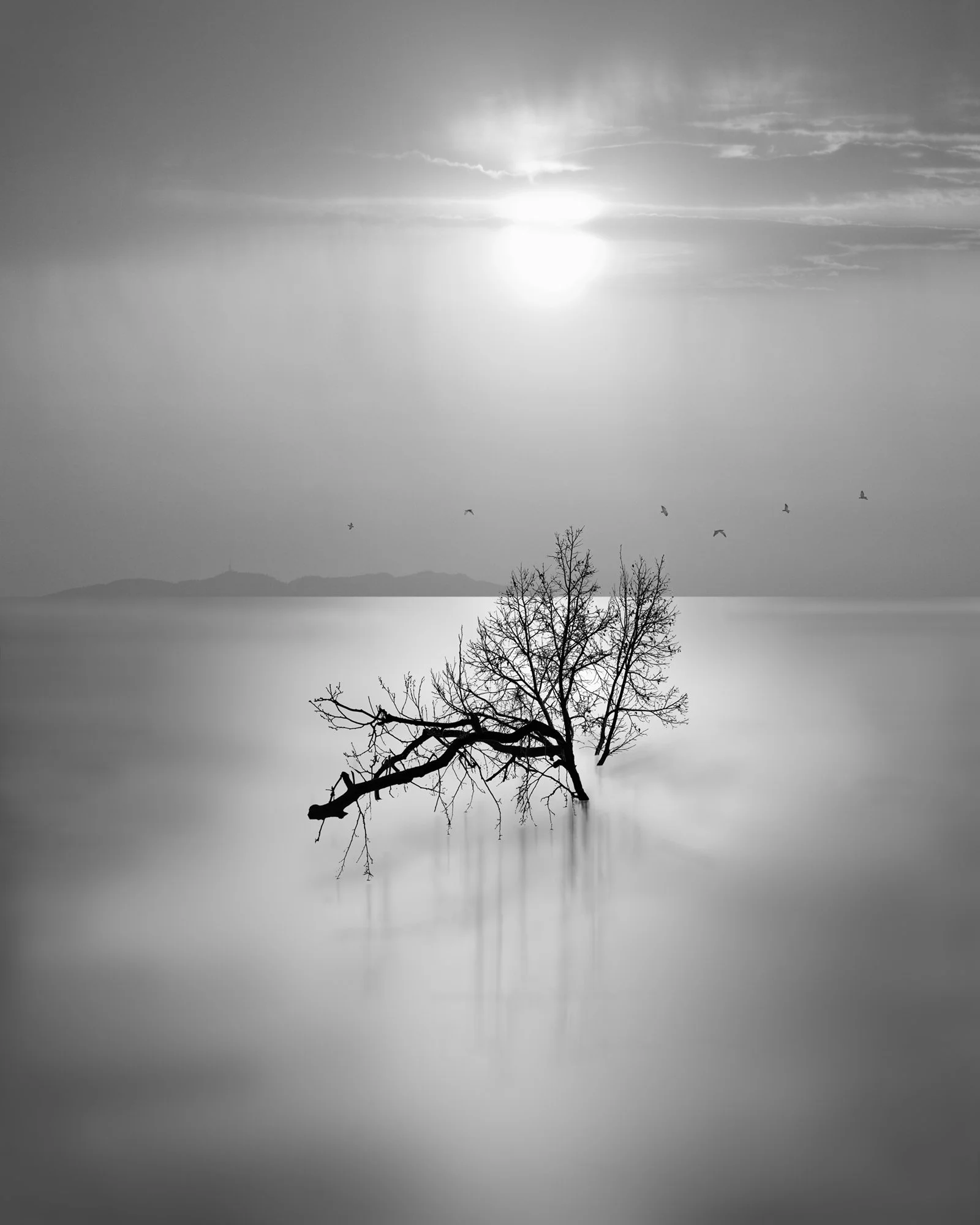 280_Water-series_#03_Flood_©AndySotiriou2016.jpg