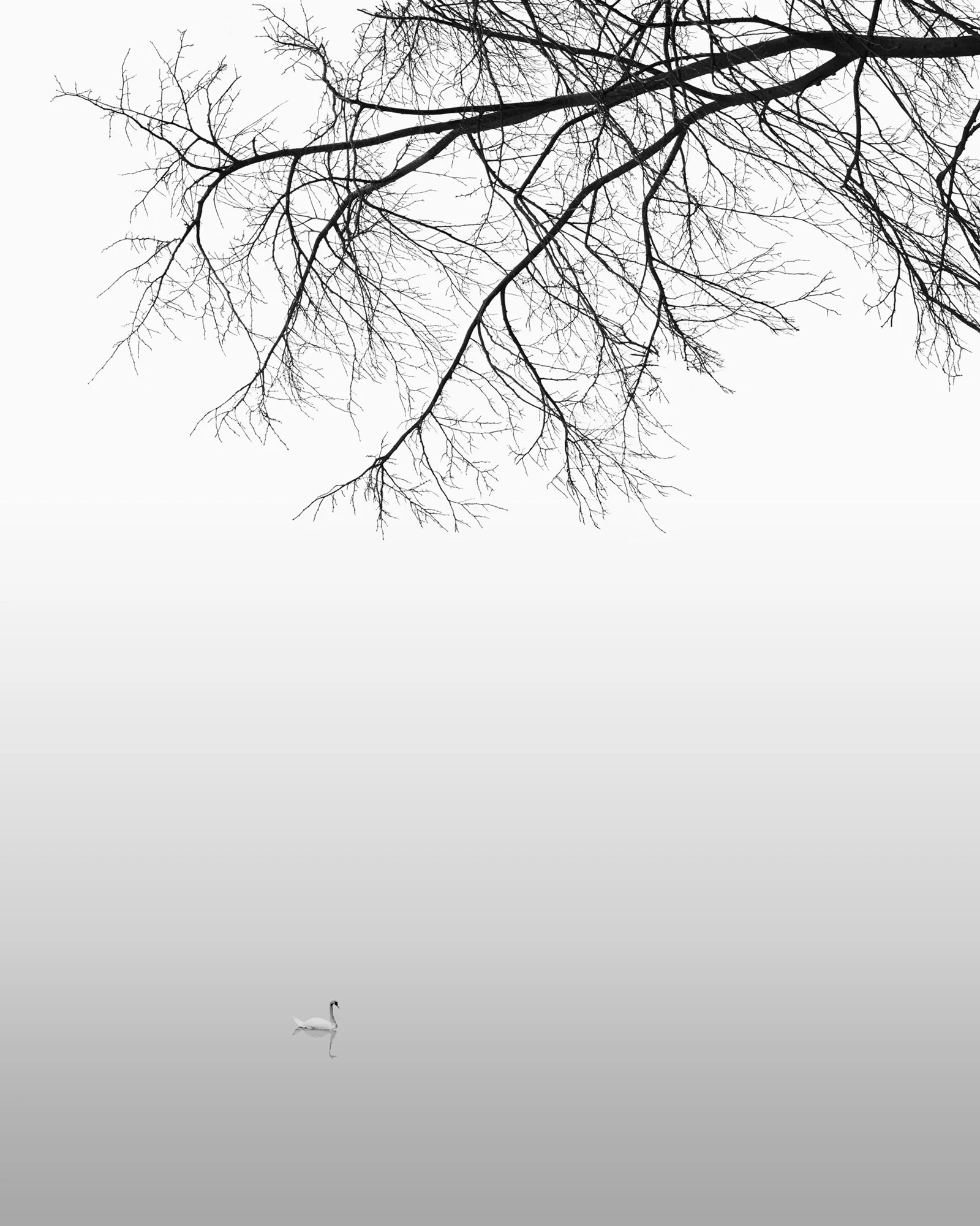 370_Water-Series_#02_©AndySotiriou2016.jpg