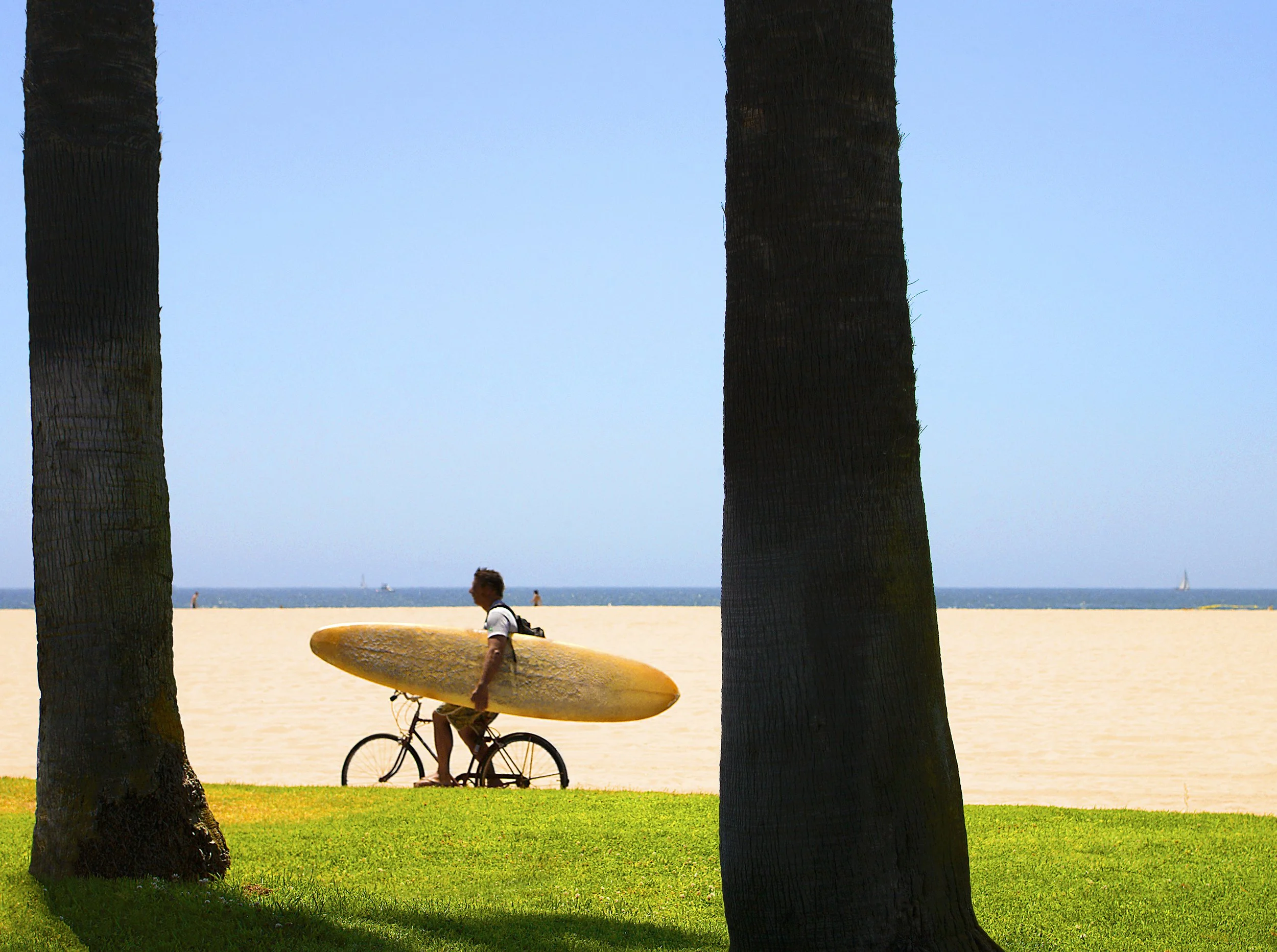 210_Surfer-cyclist_Venice-beach_LA_5486_©AndySotiriou2019.jpg