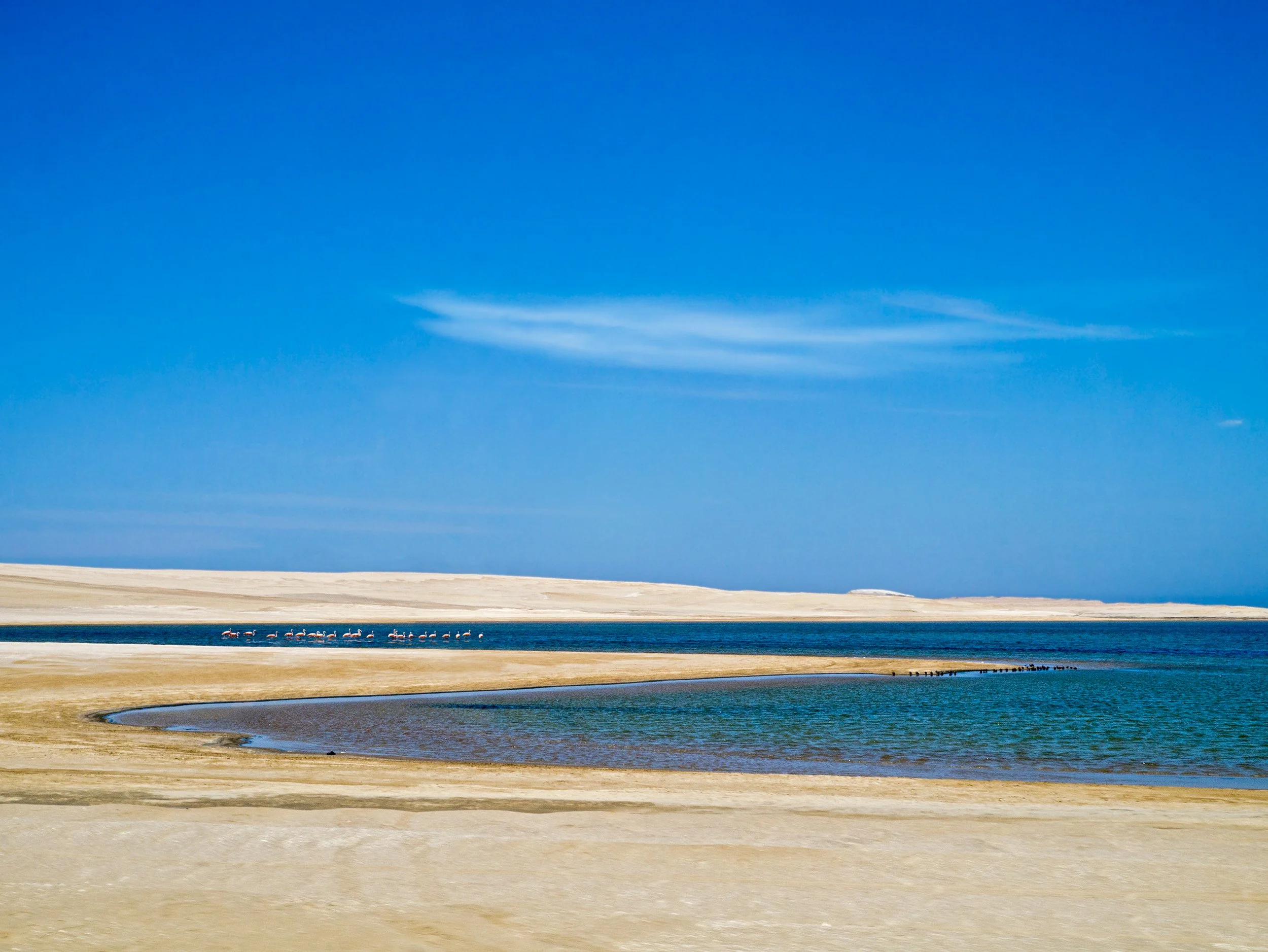 360_Desert-2_flamingos_Paracas_1080135_©AndySotiriou2020.jpg