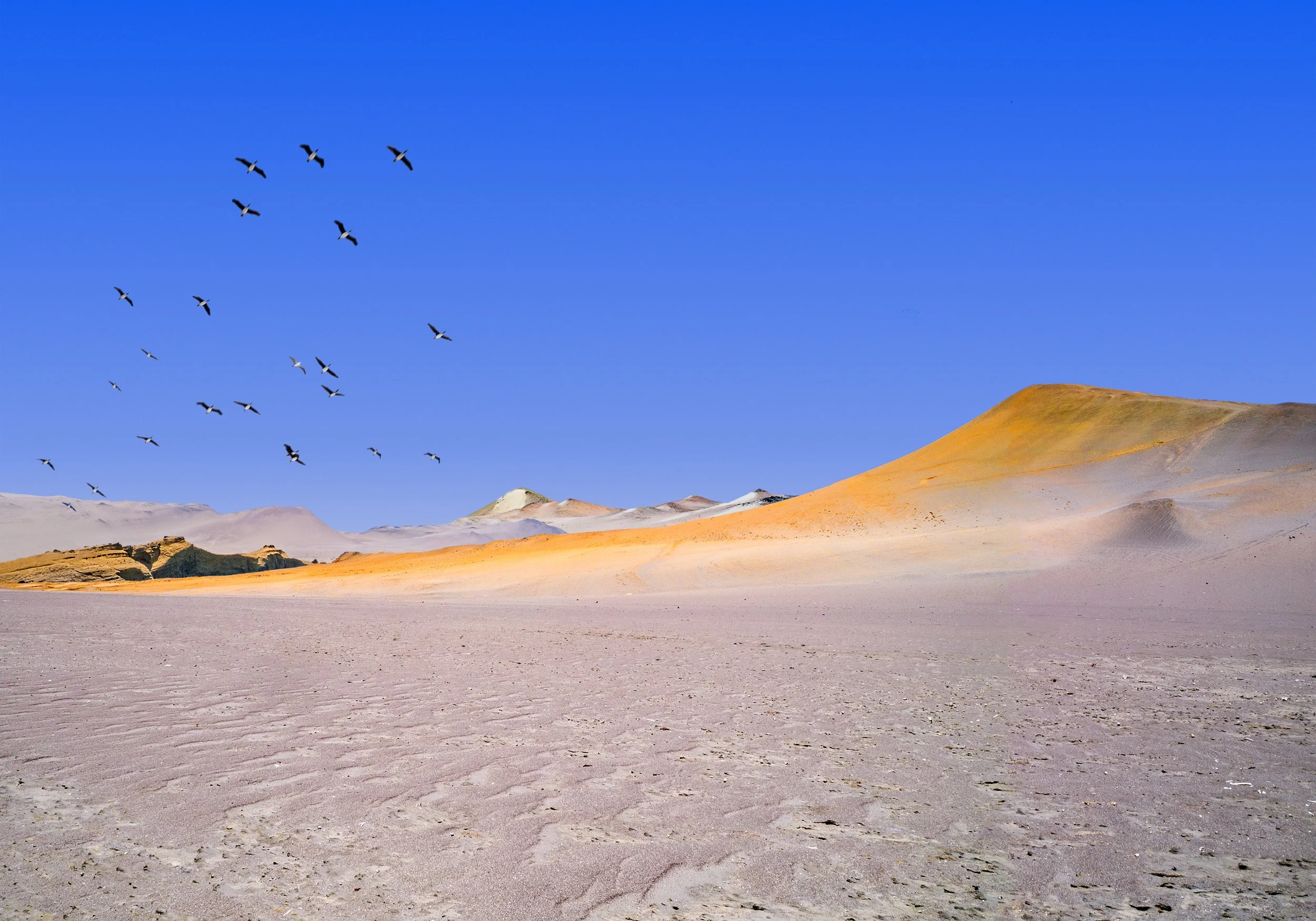 370_Paracas_desert_Peru_v2_1080151_©AndySotiriou2020.jpg