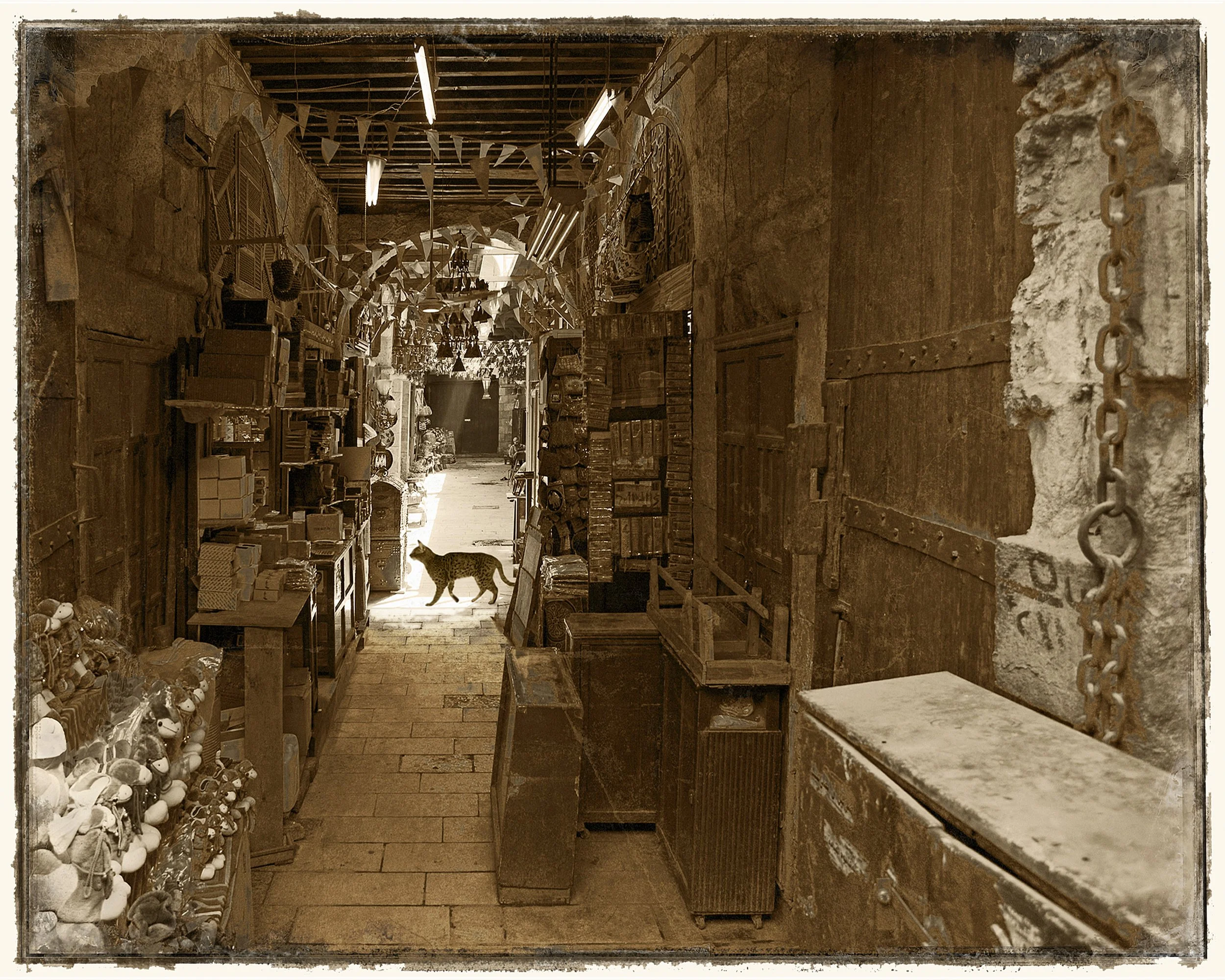 270_Cairo_Bazaar_6563_cat_©Andy_Sotiriou2020.jpg