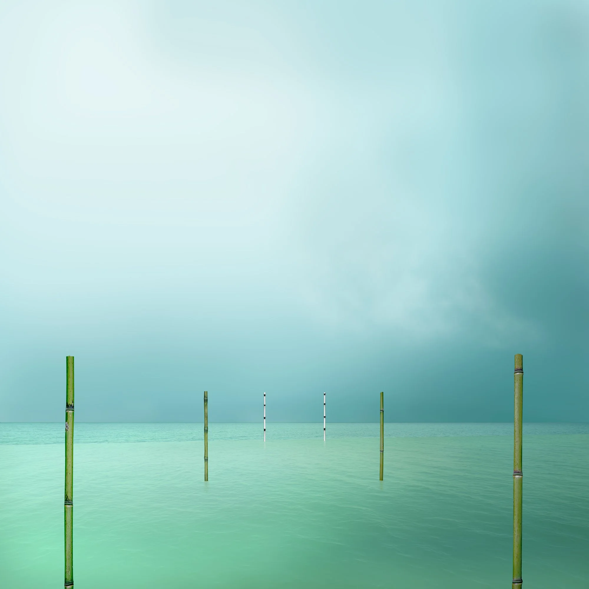 120_Ocean_09_waves_1931_Bamboo_©AndySotiriou2020.jpg