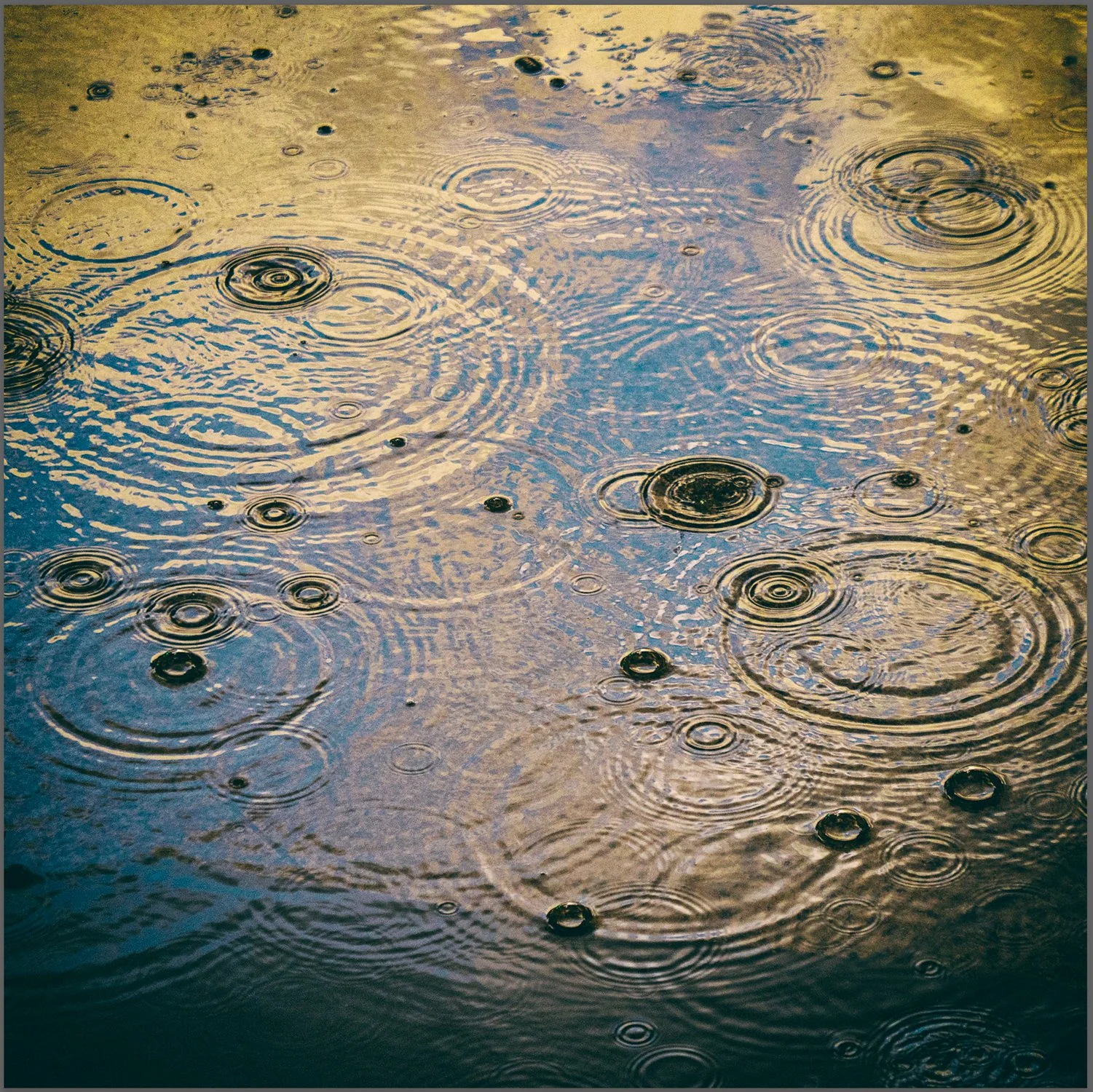 055_Rain-in-Puddle_LG94439_cc5_sq_©AndySotiriou2022.jpg