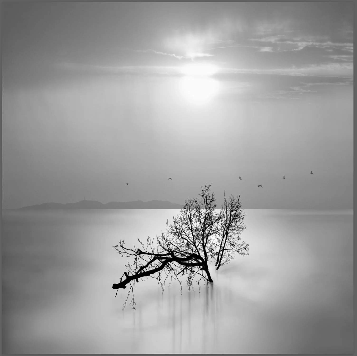 063_Water-series_03_Flood_0539_©AndySotiriou2020.jpg