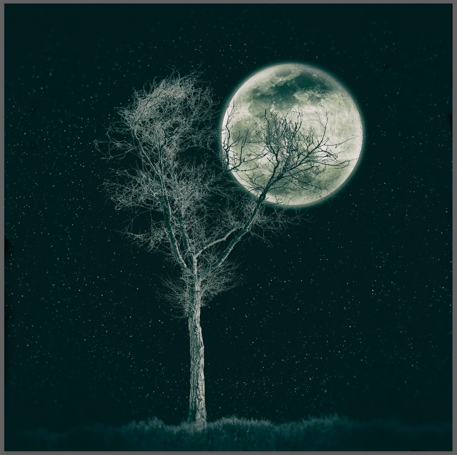 105_Full-moon #03_LG91231_VC7_©AndySotiriou2021.jpg