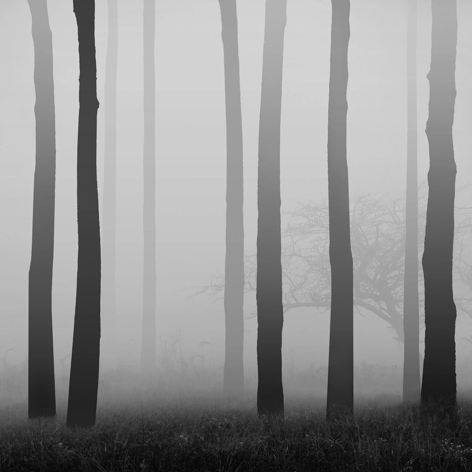 120_mist seires_#02_©AndySotiriou2020.jpg