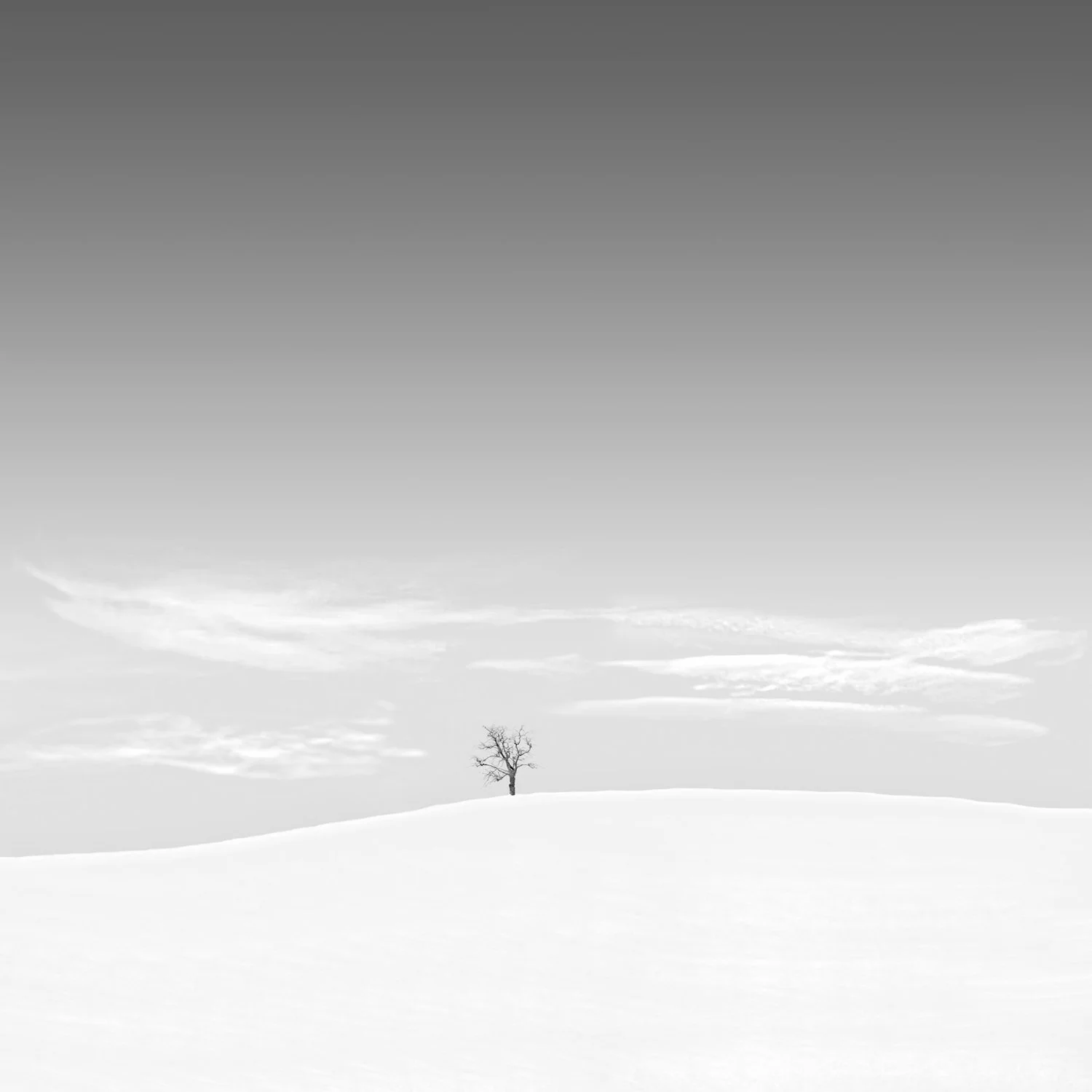 145_Snow04_Snowscape_9_Hertfordshire__©AndySotiriou2016.jpg