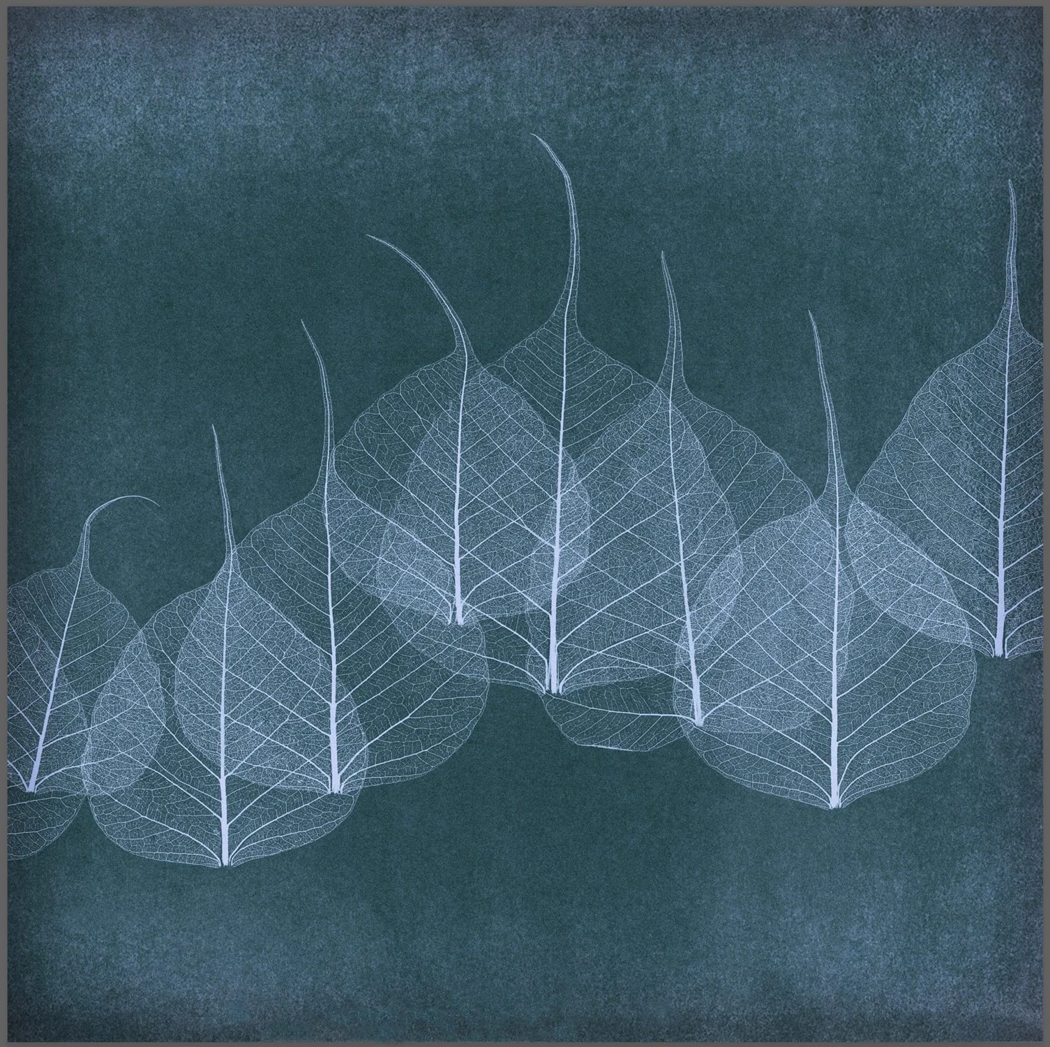 192_Leaf-lace_#01v6_DSC4027_ev6.jpg