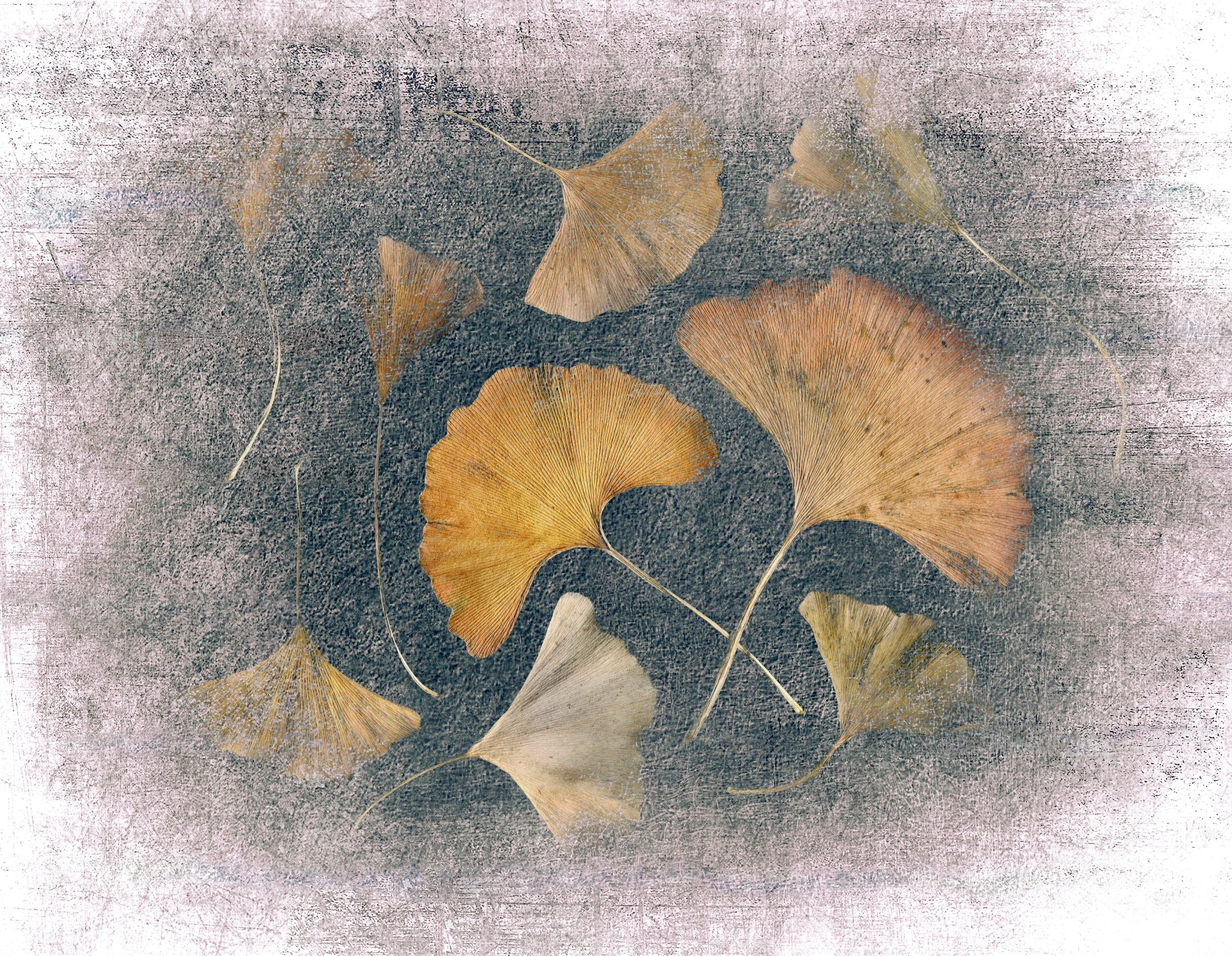 055_Ginko #01_scanner04_Surface_0574_©AndySotiriou2020.jpg