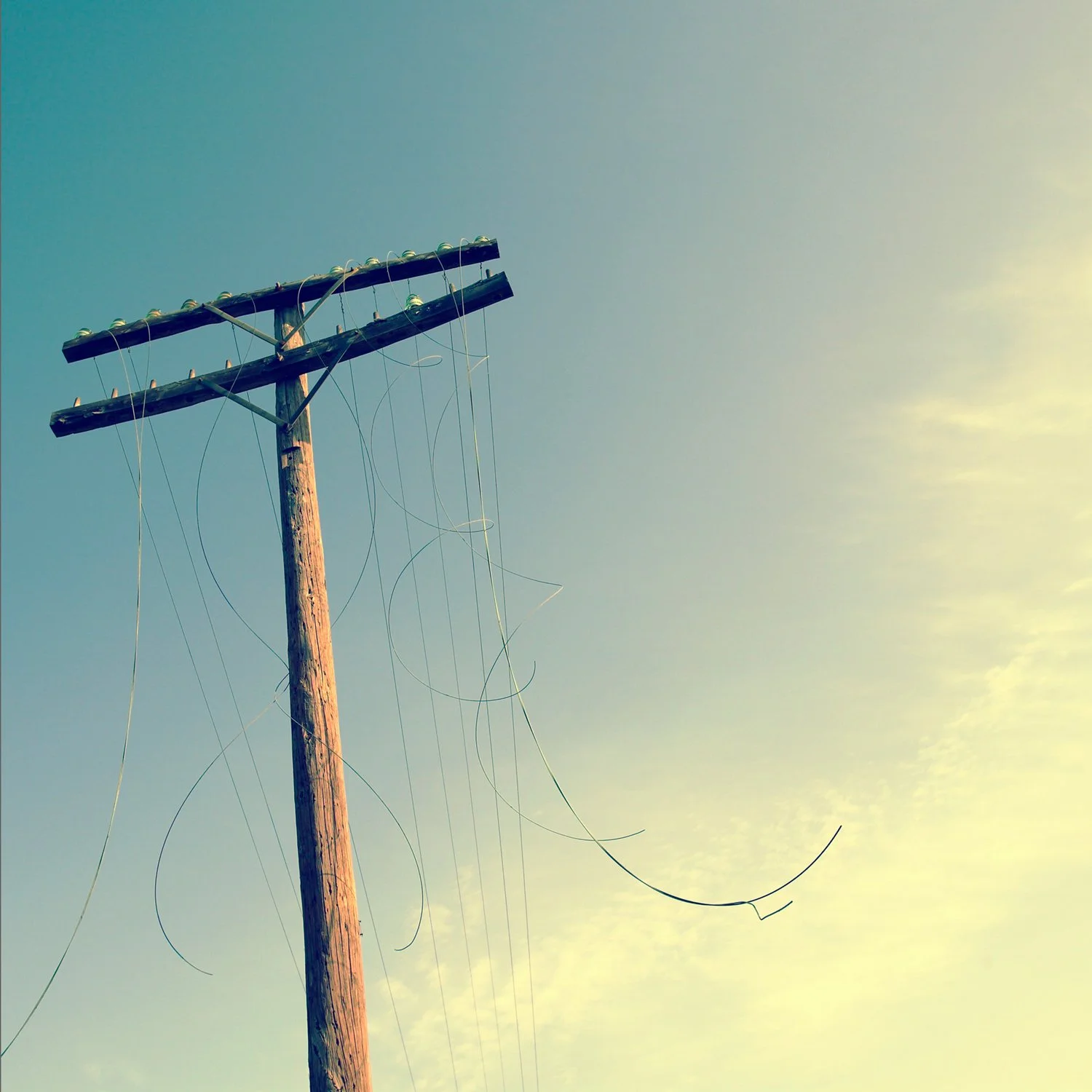 226_Telegraph-Pole_4361v1_©AndySotiriou2022.jpg