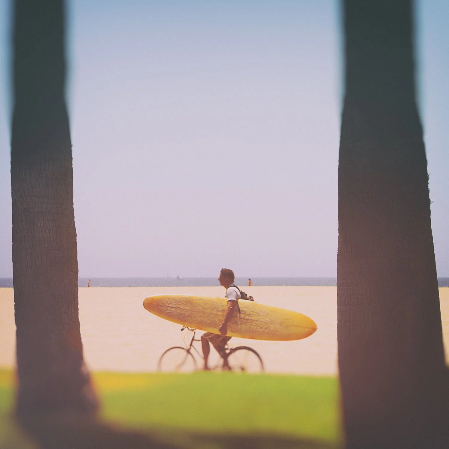 158_Surfer cyclist_Venice beach_LA_5486_vc8_©AndySotiriou2019.jpg