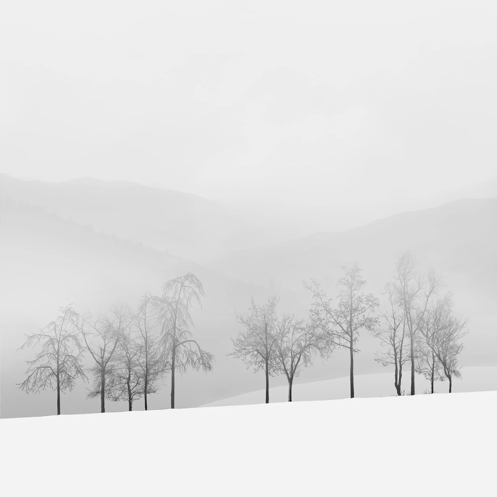 360_Snowscape_#15_©AndySotiriou2016.jpg