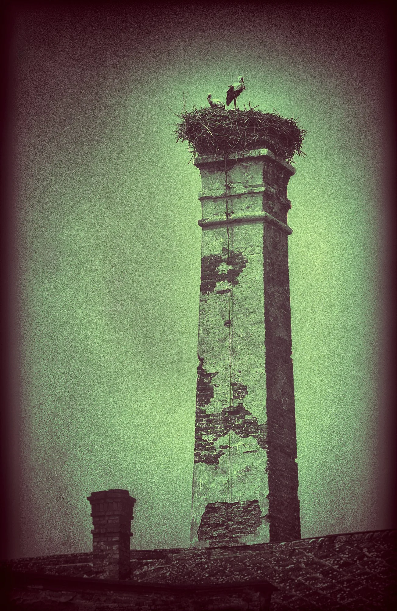 145n_ROLL59_Czechoslovakia_Storks_neg10_hdr14_AndySotiriou2023.jpg