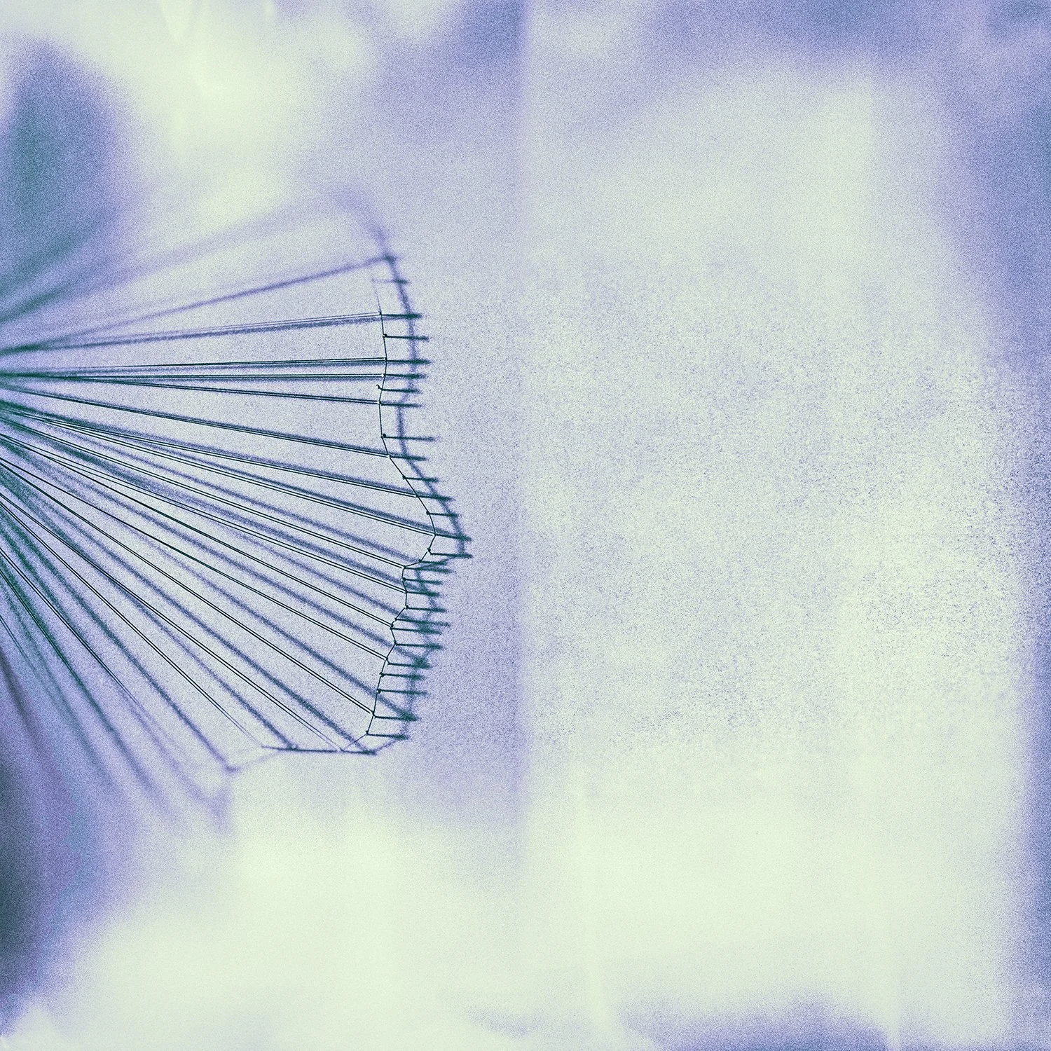 090_HEAD-LINES_#01_1025875_wp6v2.jpg