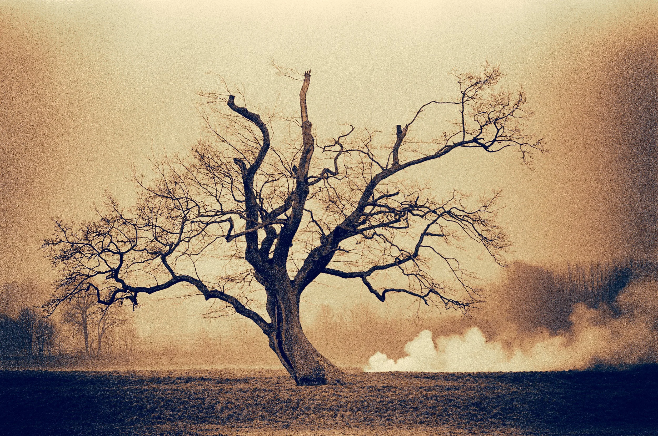 005n_Late Autumn_cc5_v2_48x32_©AndySotiriou2024.jpg