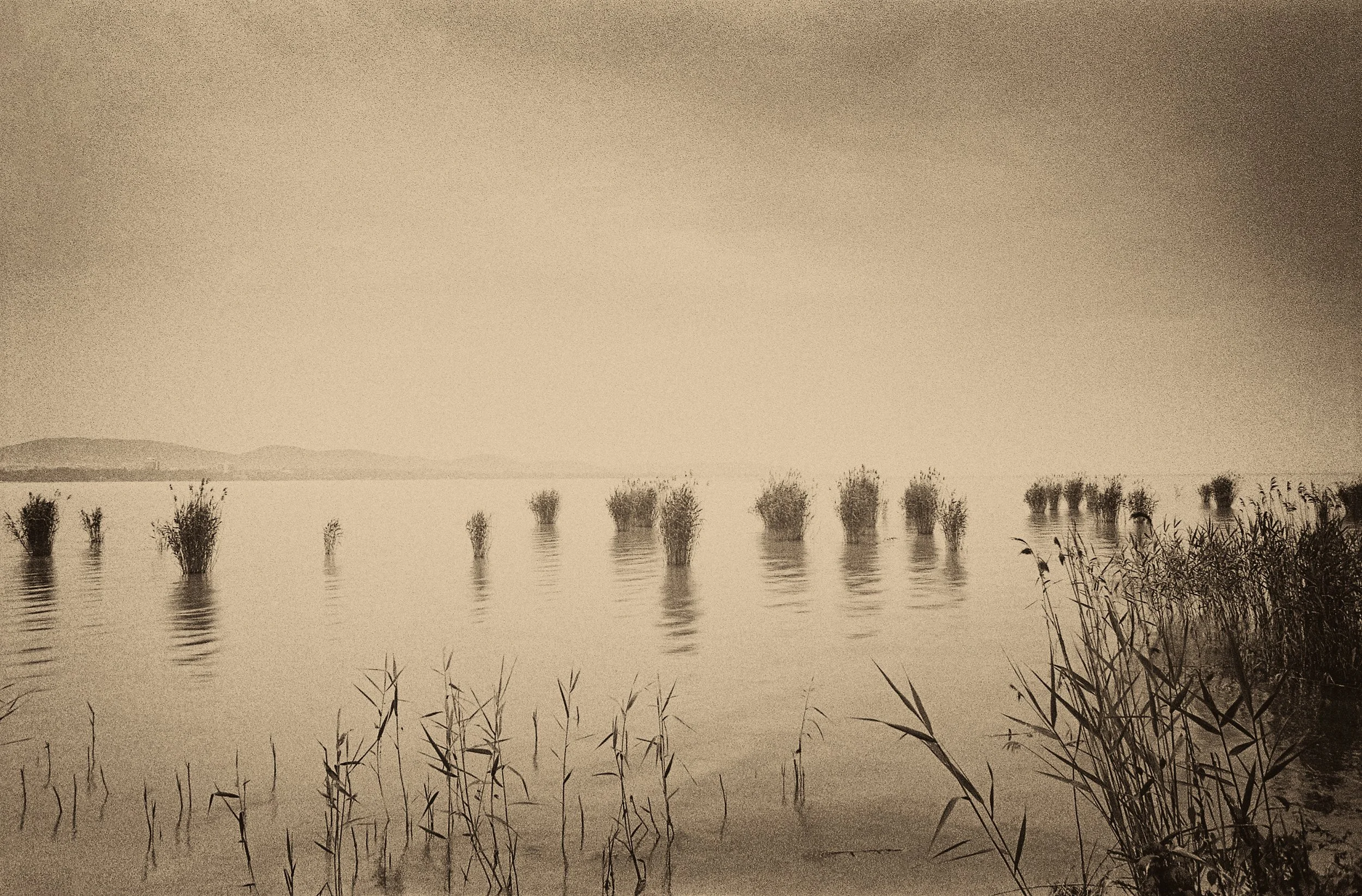 005_Hungary_Lake-Balaton_roll47_neg27_se035_©AndySotiriou2023.jpg