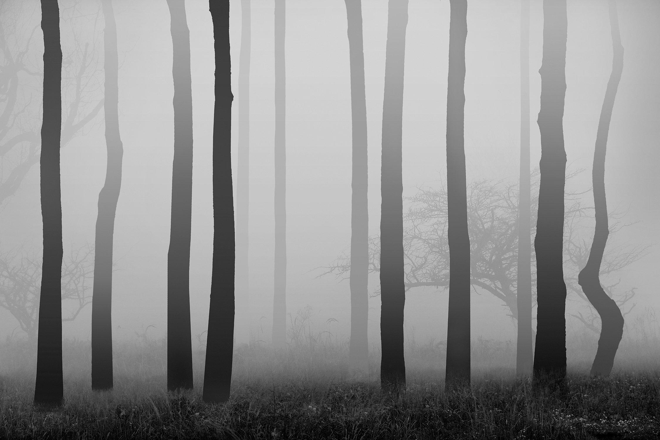 002_Mist-series_#02_©AndySotiriou2020.jpg