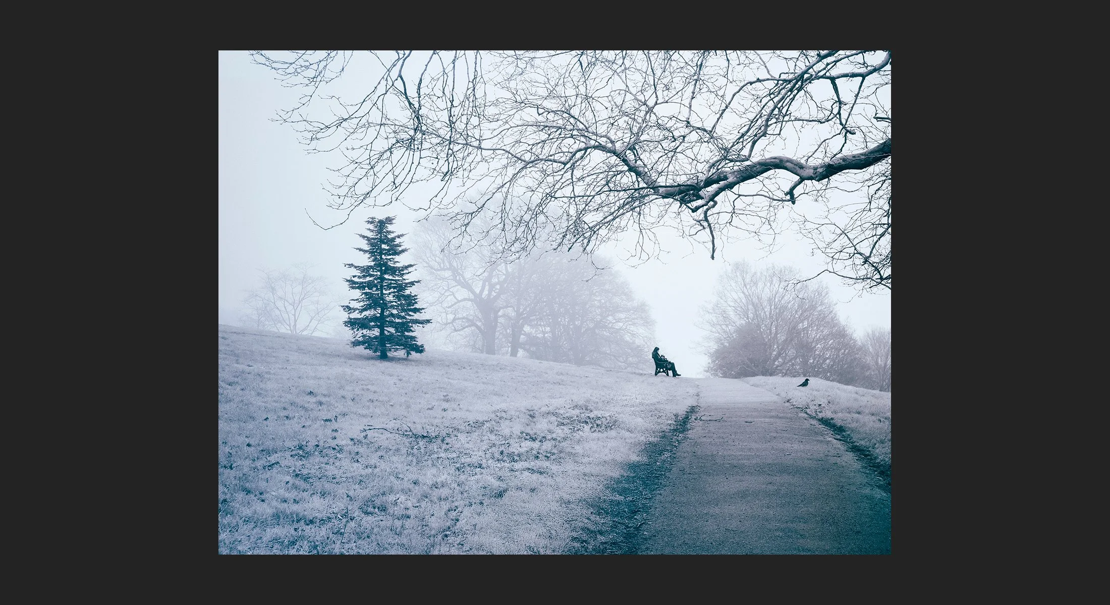 _014_Ally-Pally_1037647_vcfl_AndySotiriou2024_ss.jpg