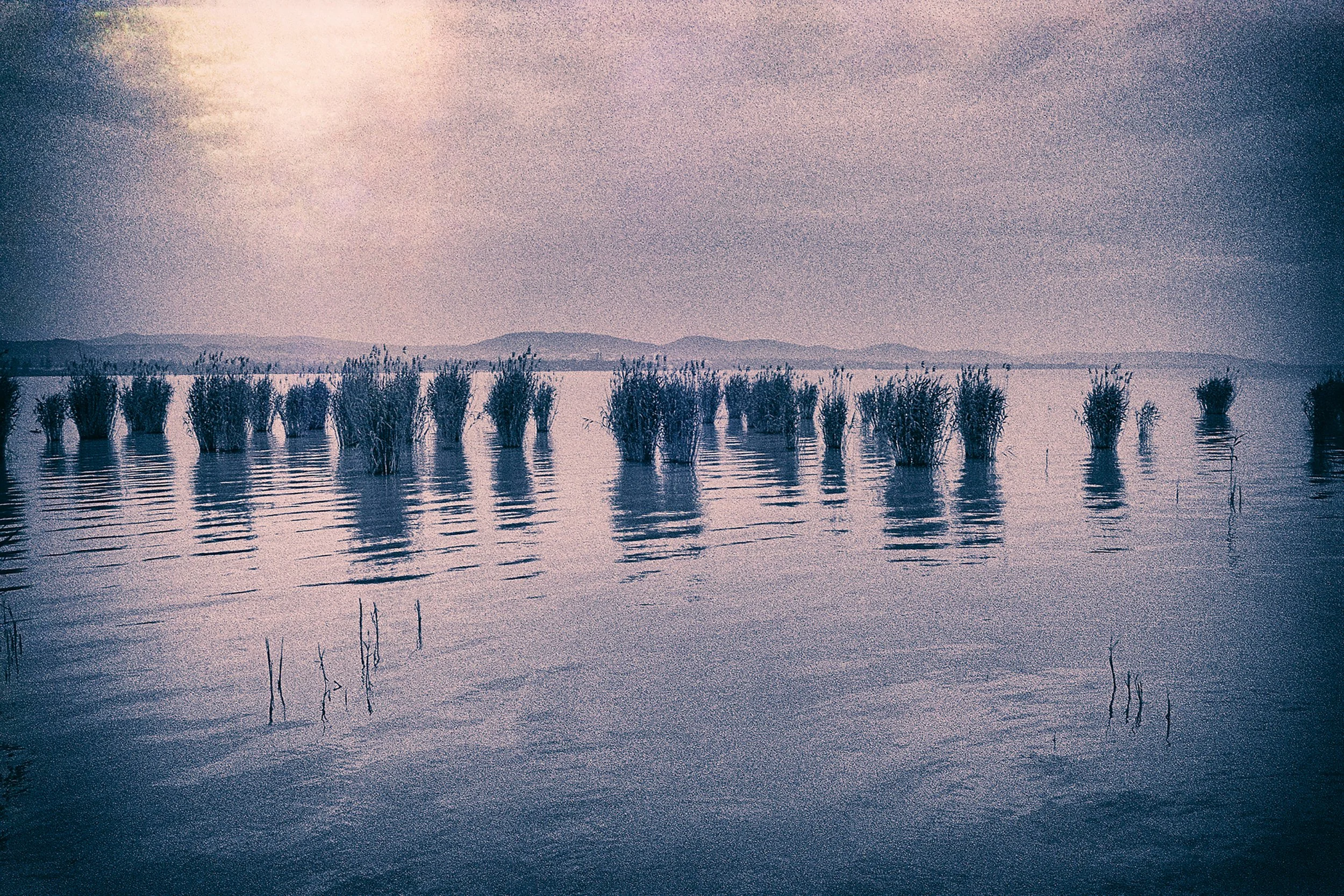 025_Roll47_Hungary_Lake-Balaton_neg22_vc3_CAndySotiriou2024.jpg