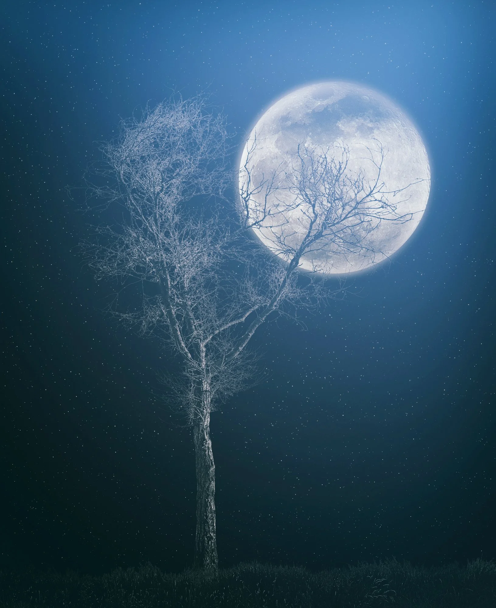 157_Moonrise_MIST_#04_LG91231_VC1_©AndySotiriou_2020.jpg
